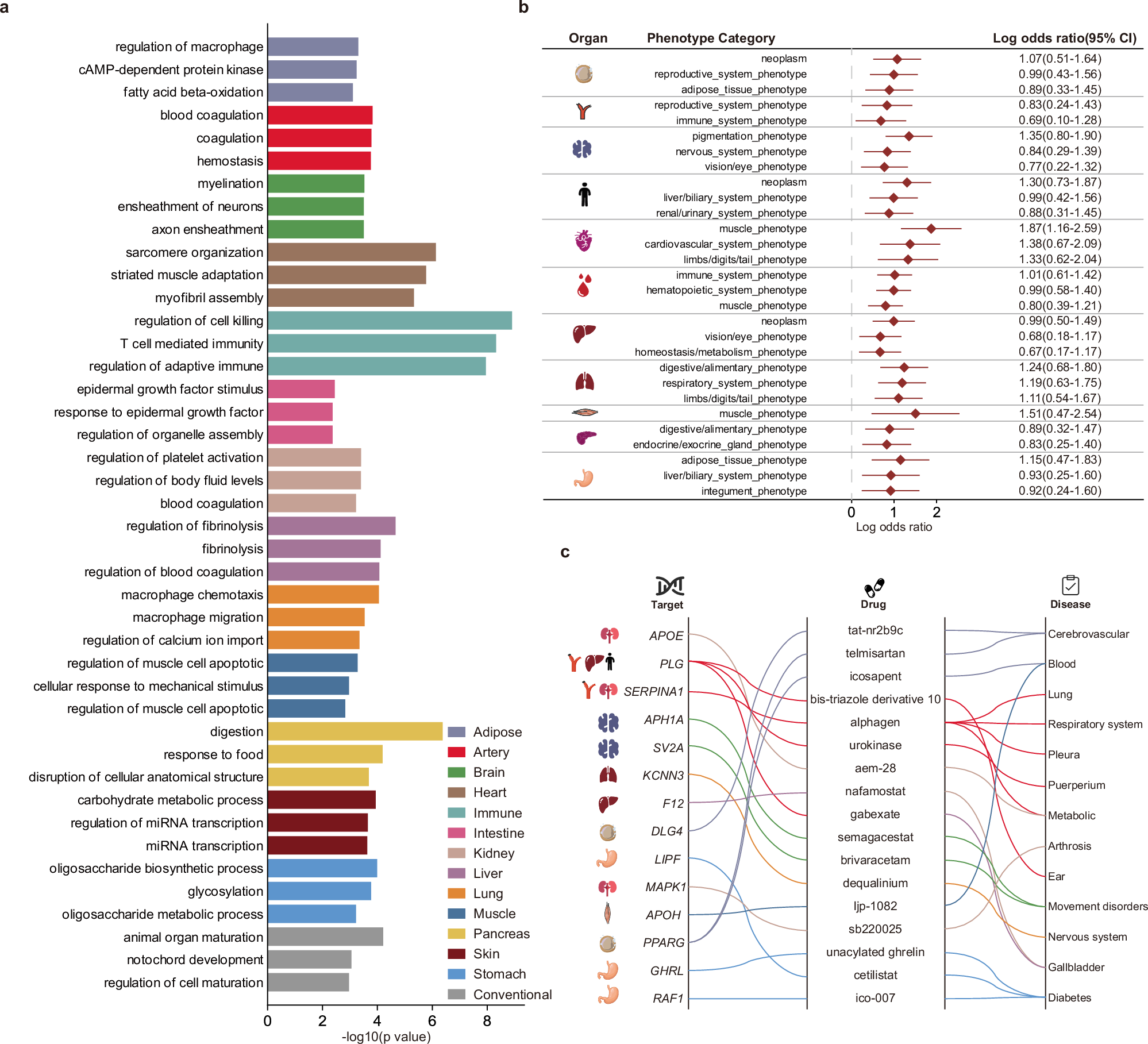 Fig. 5: Function annotation of organ aging genes.