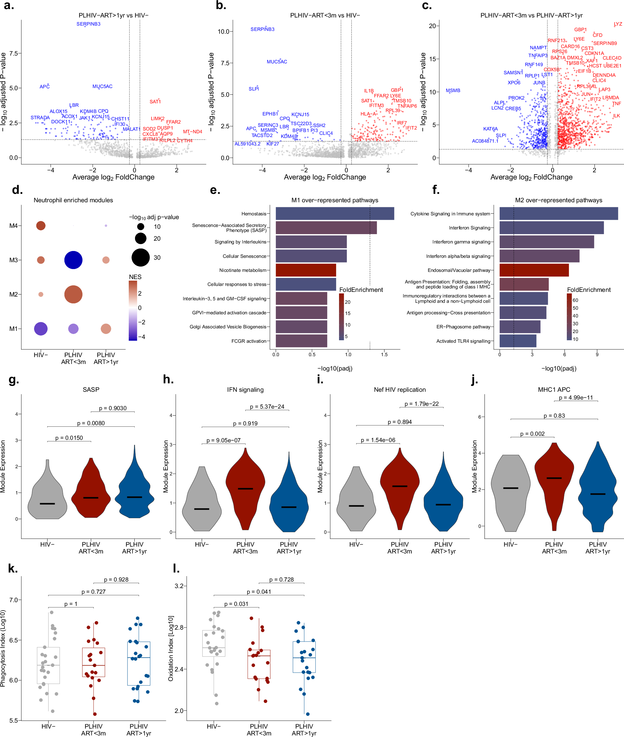 Fig. 5: Neutrophils from PLHIV on long-term ART upregulate senescence-associated secretory phenotype (SASP) and exhibit impaired oxidative capacity.
