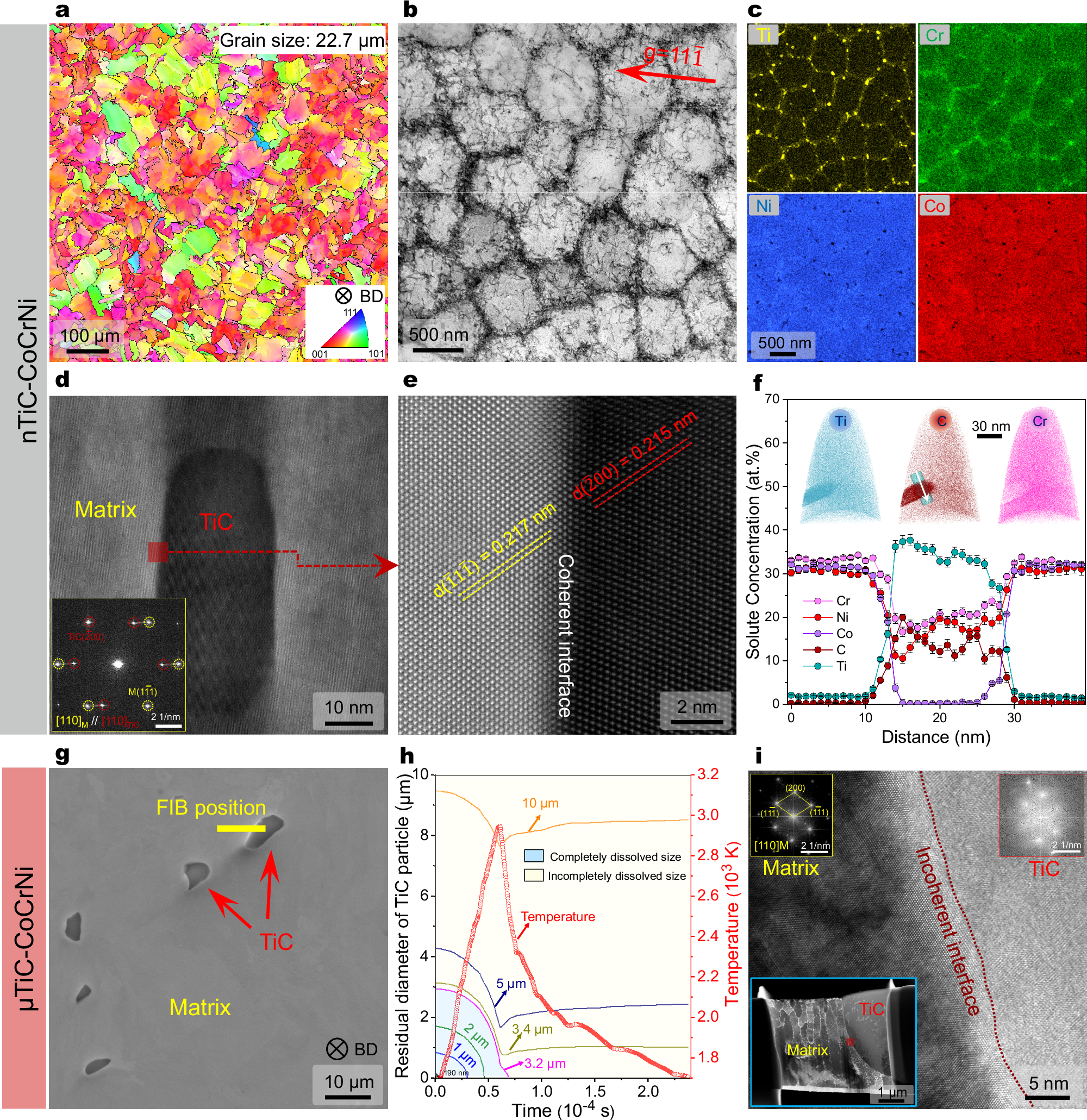 Fig. 2: The as-printed microstructure of the nTiC-CoCrNi and μTiC-CoCrNi samples.