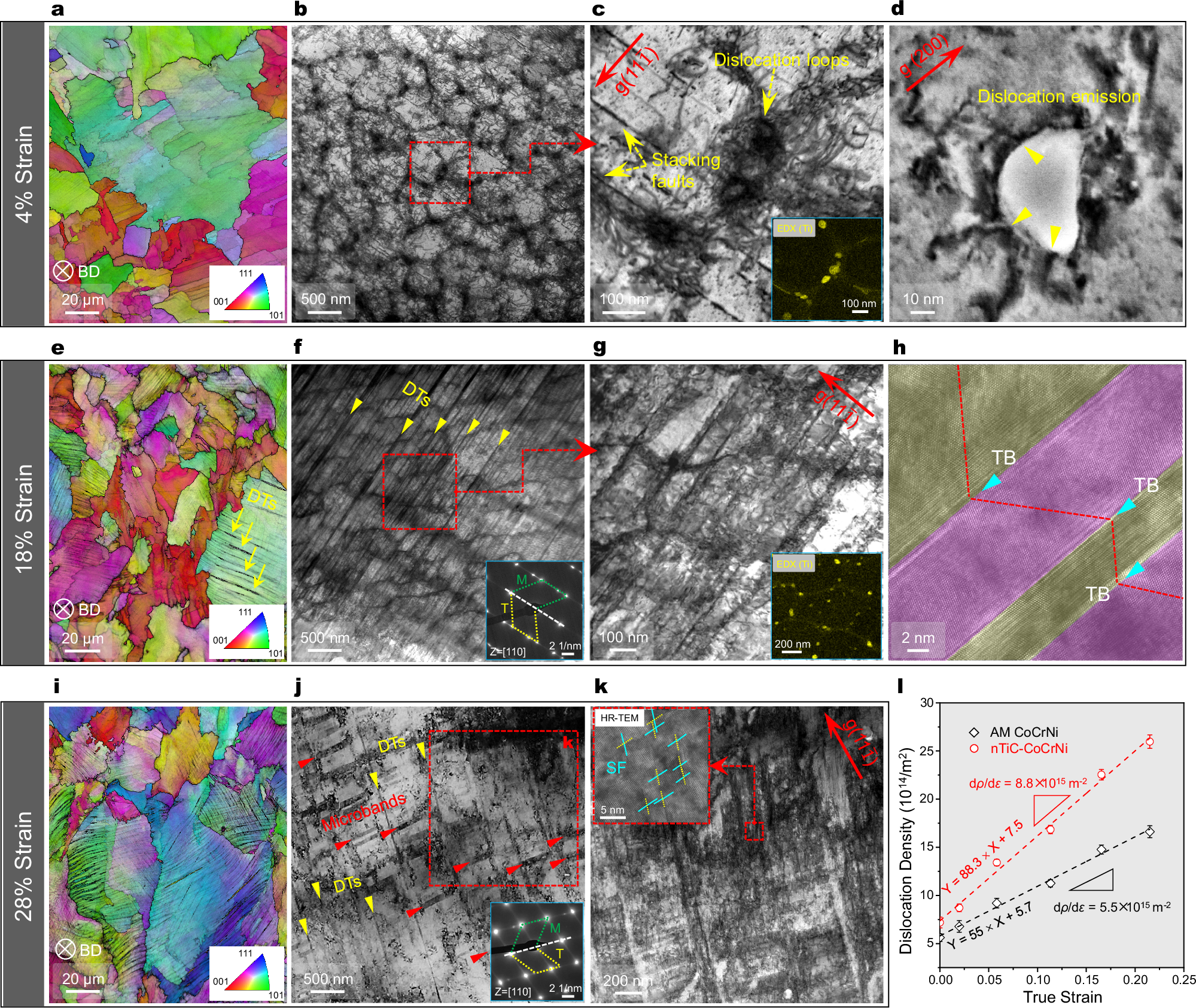Fig. 4: Representative deformation substructure of the nTiC-CoCrNi alloy cryogenically (87 K) deformed to total tensile strains of 4%, 18% and 28%, respectively.