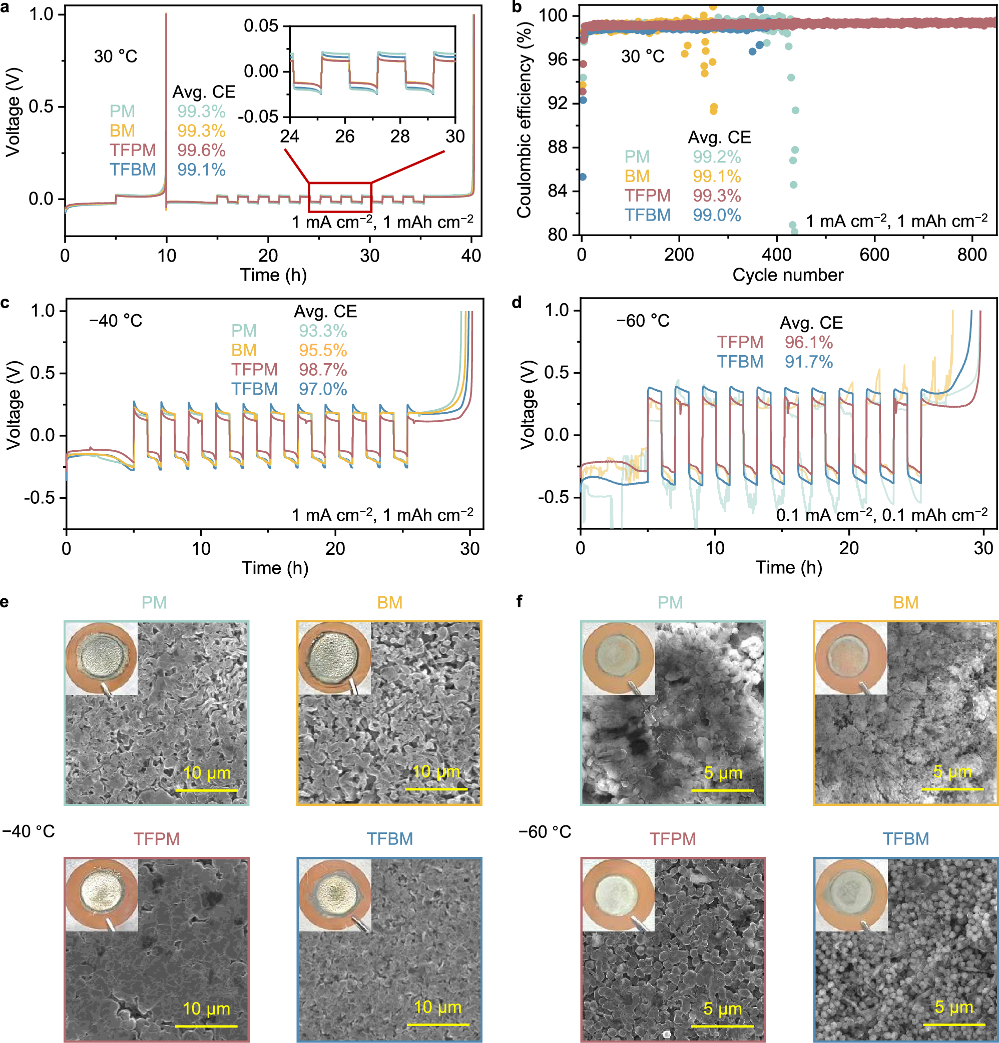 Fig. 4: Li metal reversibility and deposition morphology.