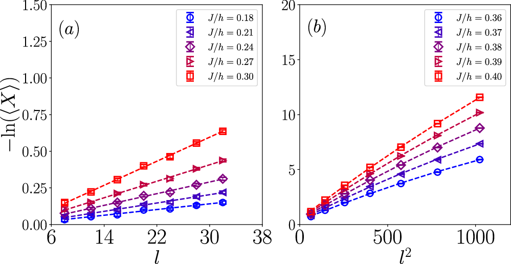 Fig. 5: The disorder operator 〈X〉 measurement in the 2D TFIM.
