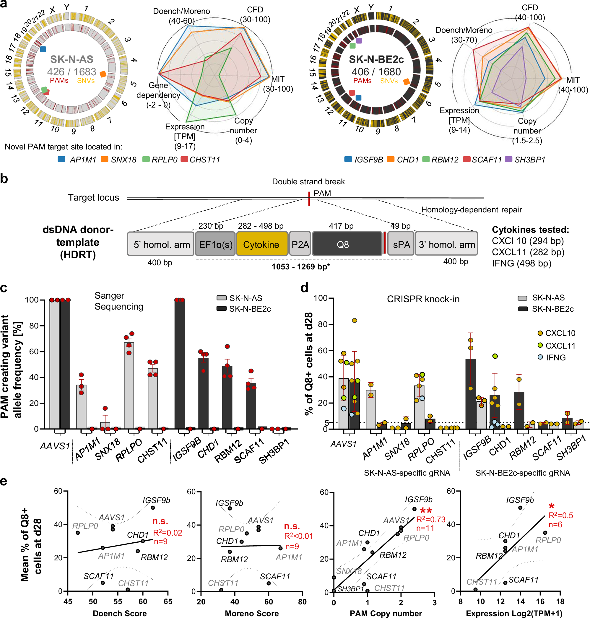Fig. 3: Gene-therapeutic CRISPR knock-in of cytokine transgenes is efficient and specific for top-ranked novel PAM targets.