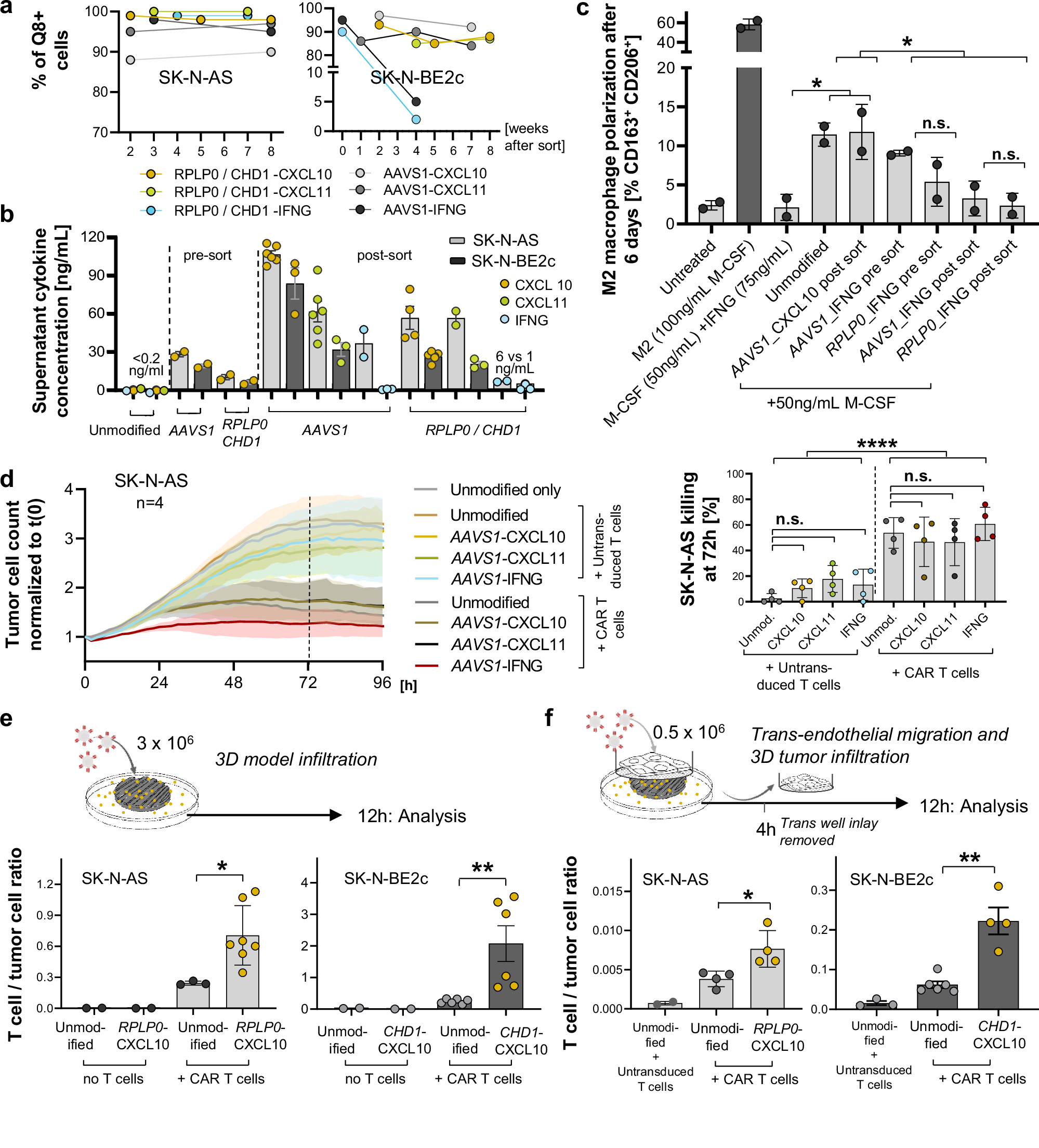 Fig. 5: Gene-therapeutic induction of CXCL10 secretion enhances CAR T cell migration and infiltration in vitro.