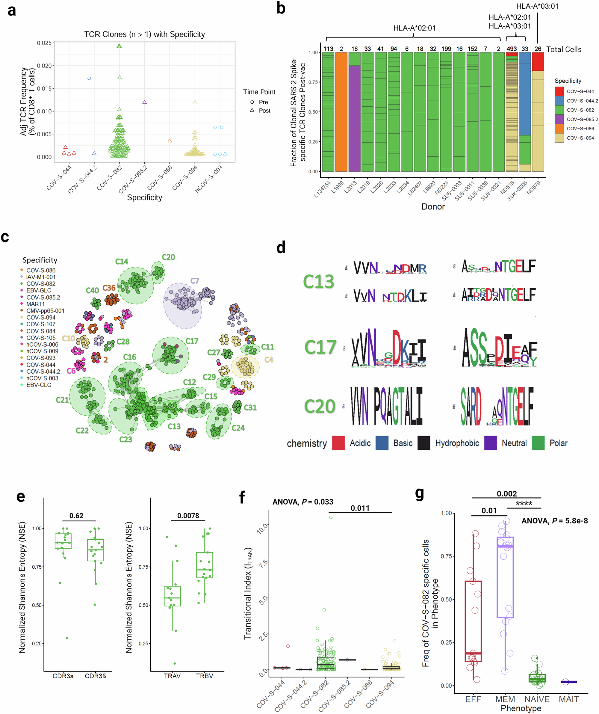 Fig. 2: The CD8+ T cell response to HLA-A2-restricted epitopes is public, immunodominant and diverse.