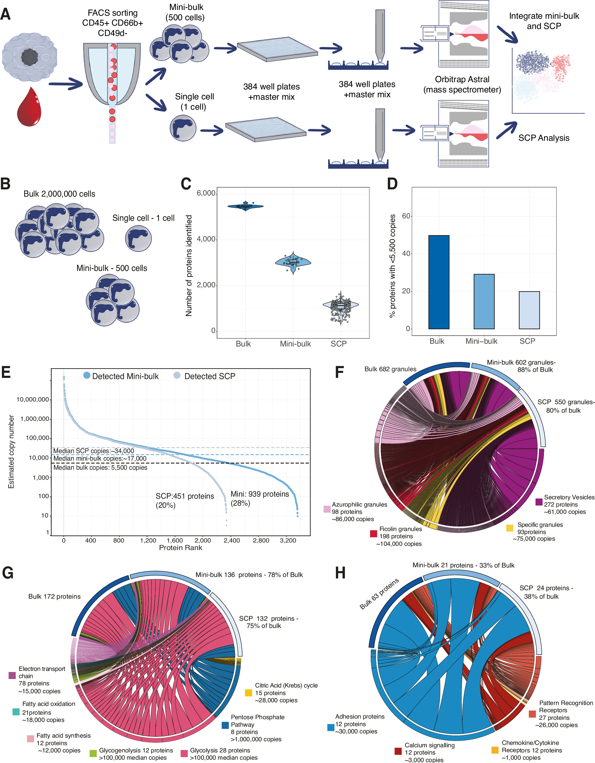 Fig. 1: Low cell number mass spectrometry-based proteomic workflows.