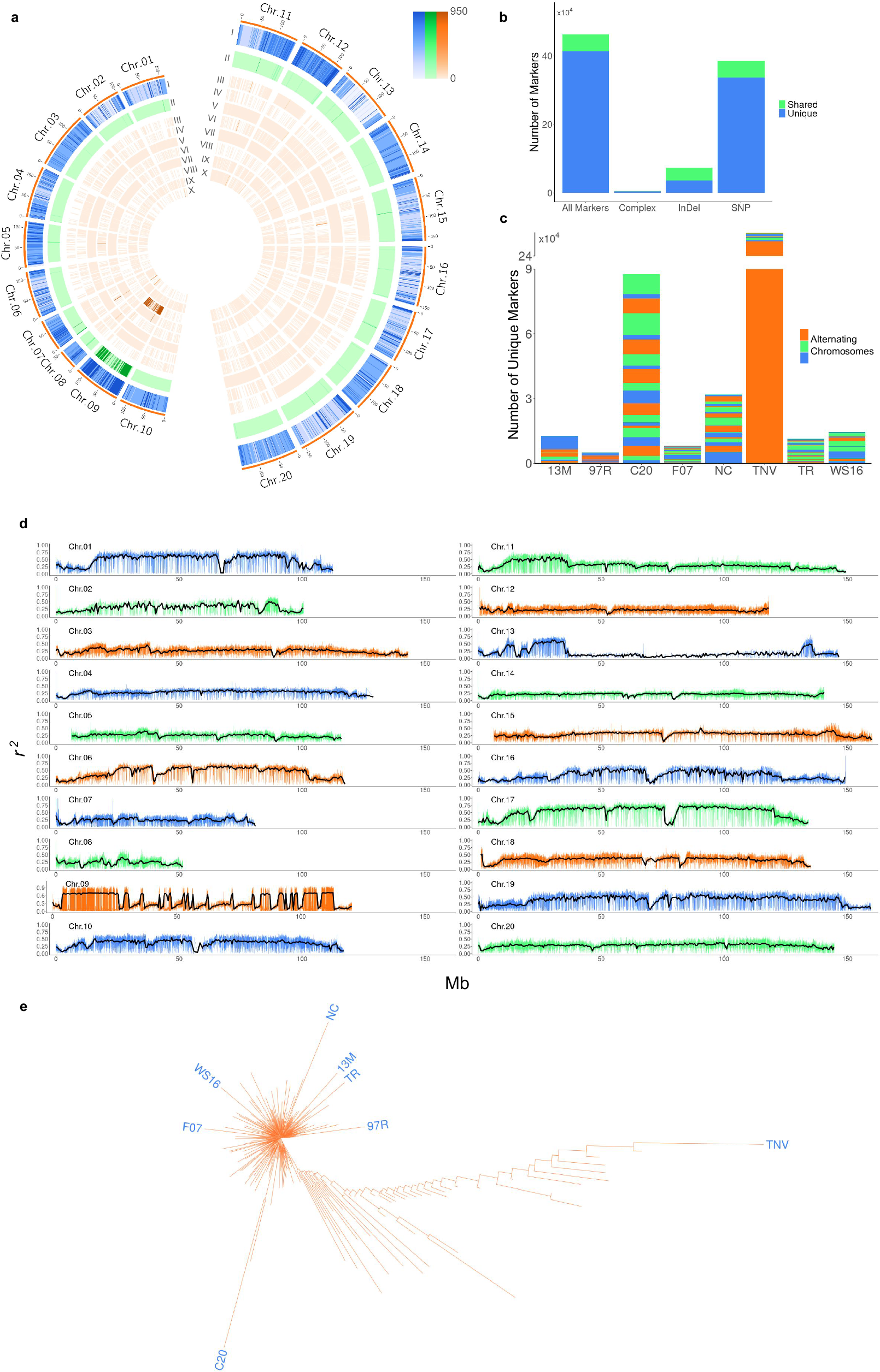 Fig. 2: PeanutMAGIC pangenomic markers.
