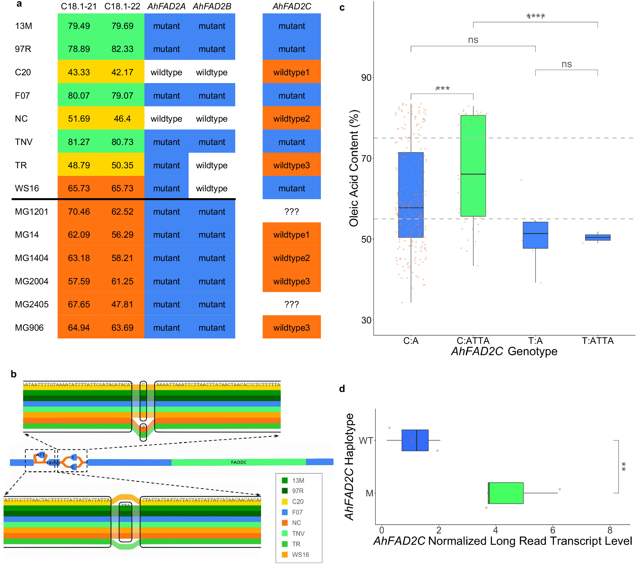 Fig. 5: Functional variation of AhFAD2C.