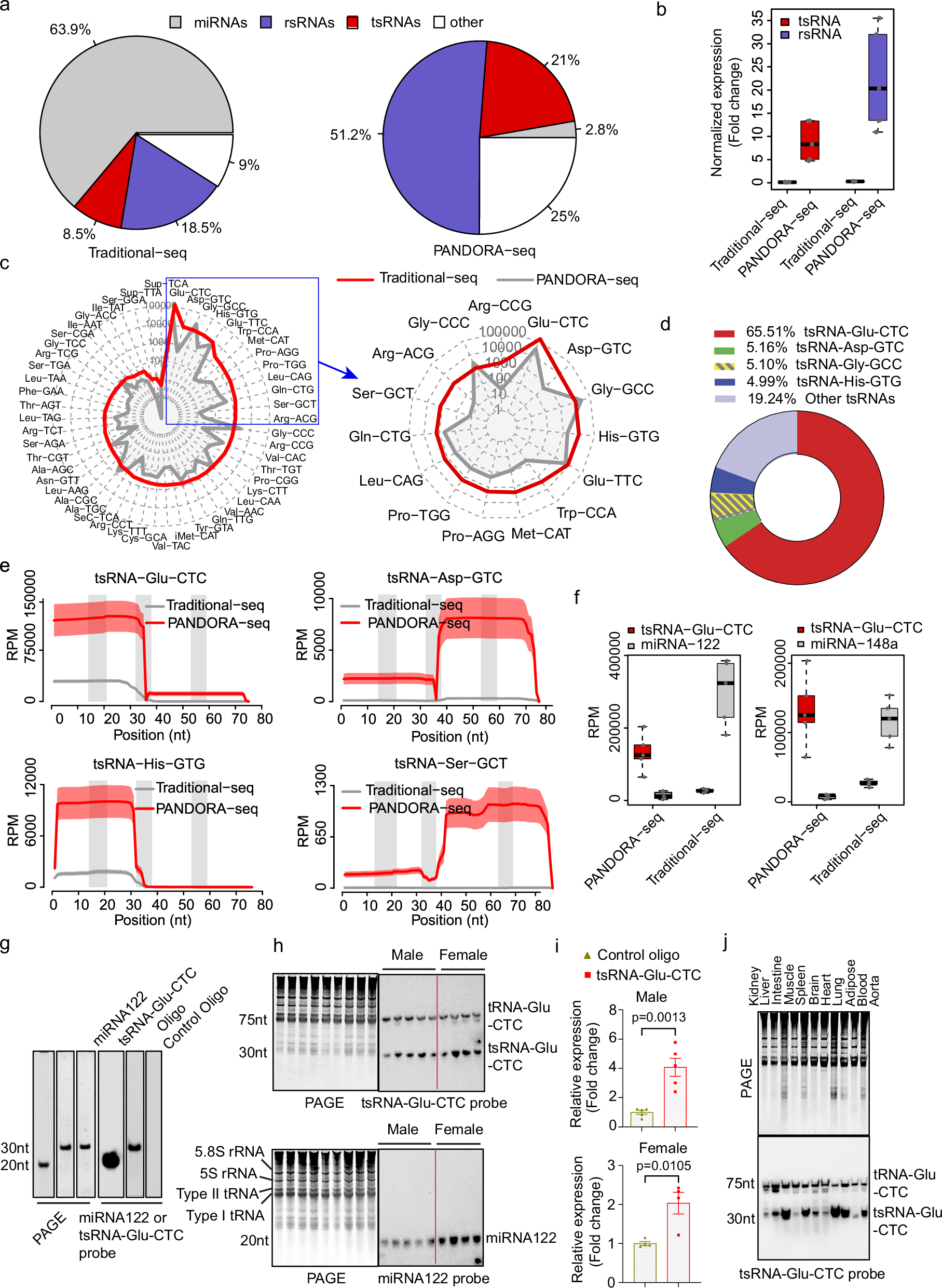 コレステロールと心臓疾患を制御する小型RNA分子を発見(Scientists identify small RNA molecule that regulates cholesterol and heart disease)