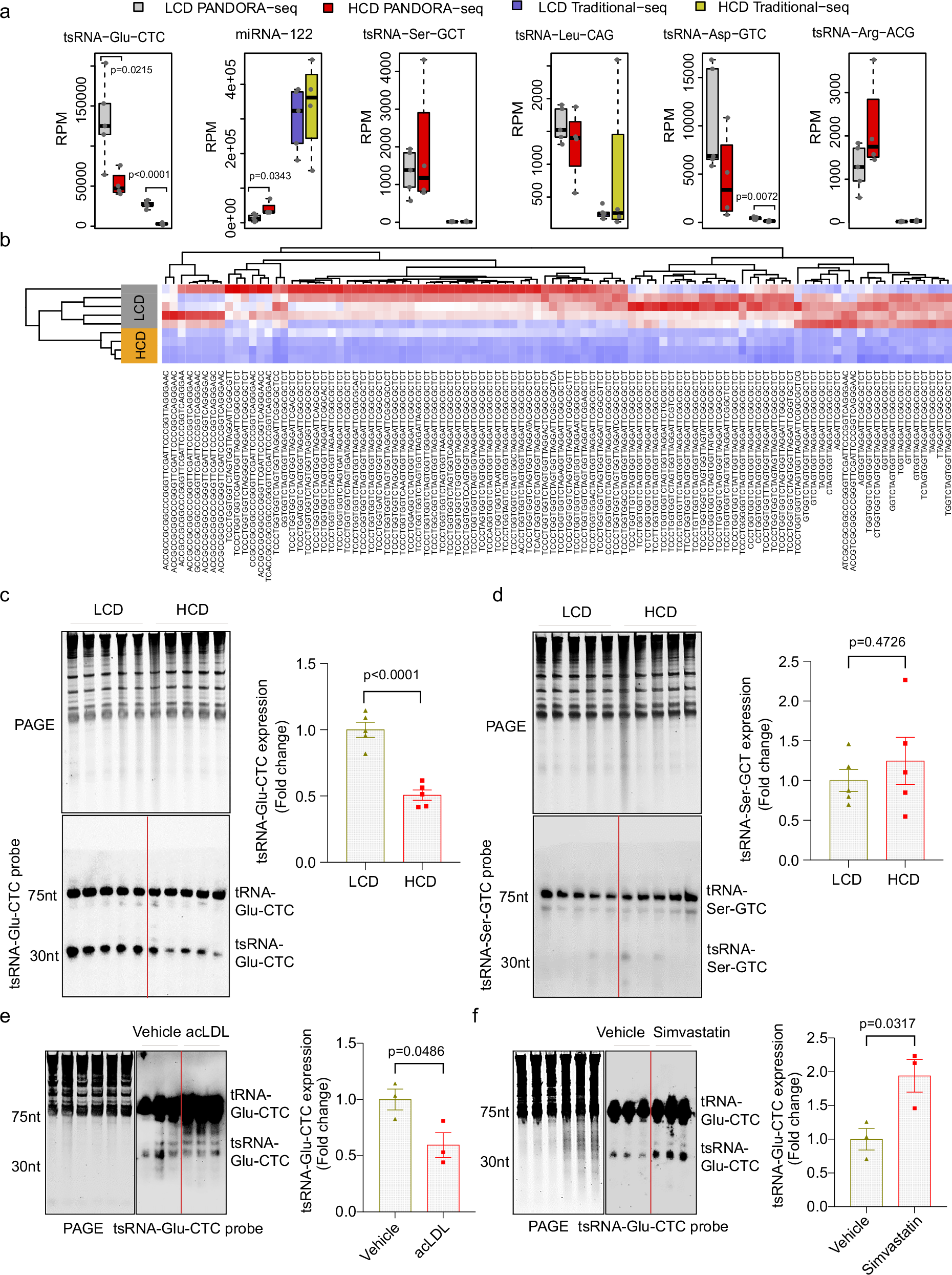 Fig. 2: tsRNA-Glu-CTC is a cholesterol-responsive tsRNA.