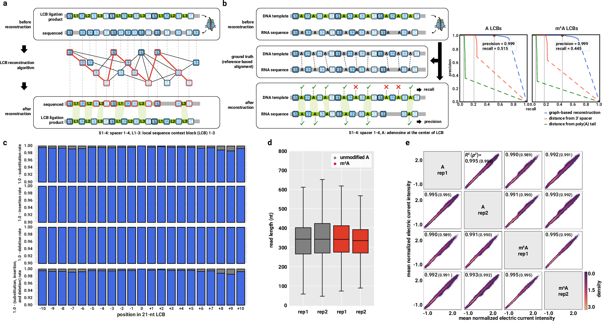 Fig. 3: RNA sequences and modification states are accurately annotated at single-molecule resolution in the DeepRM dataset.