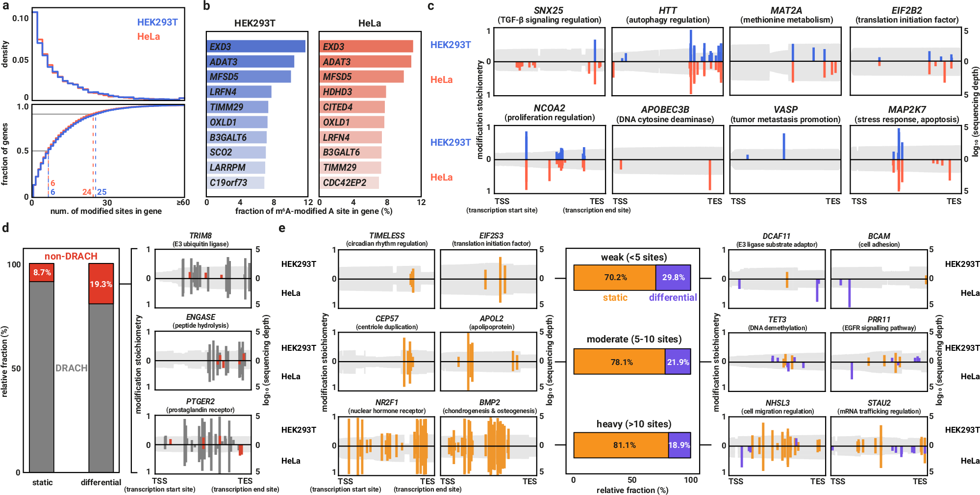 Fig. 9: m6A modification is a global and dynamic process across the whole transcriptome.