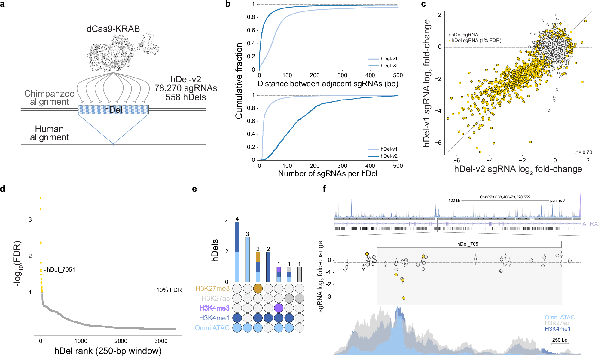 Fig. 2: High-density tiling CRISPRi screen refines the boundaries of functional sequences within proliferation-modifying hDels.