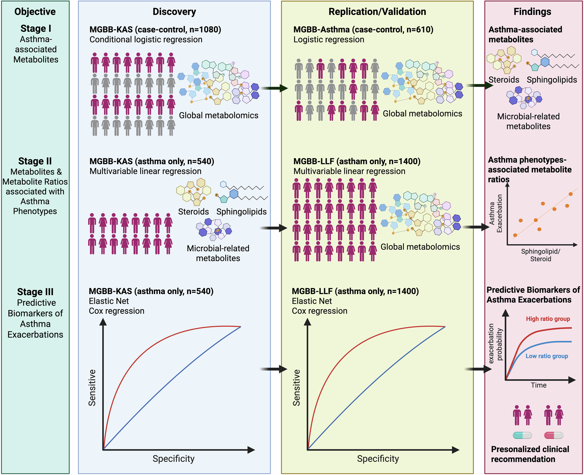 新手法で喘息発作を最大5年前に予測可能に (New method predicts asthma attacks up to five years in advance)