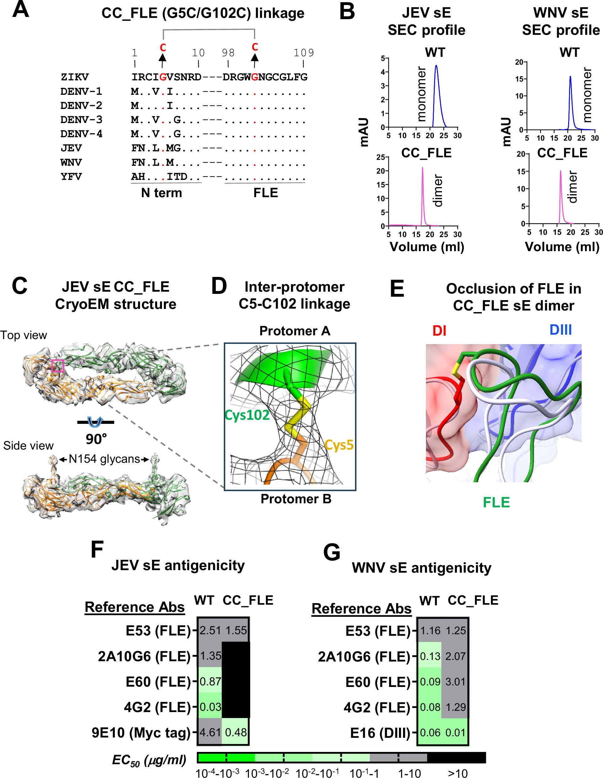 Fig. 3: Biochemical and antigenicity characterization of JEV and WNV CC_FLE sE mutants.