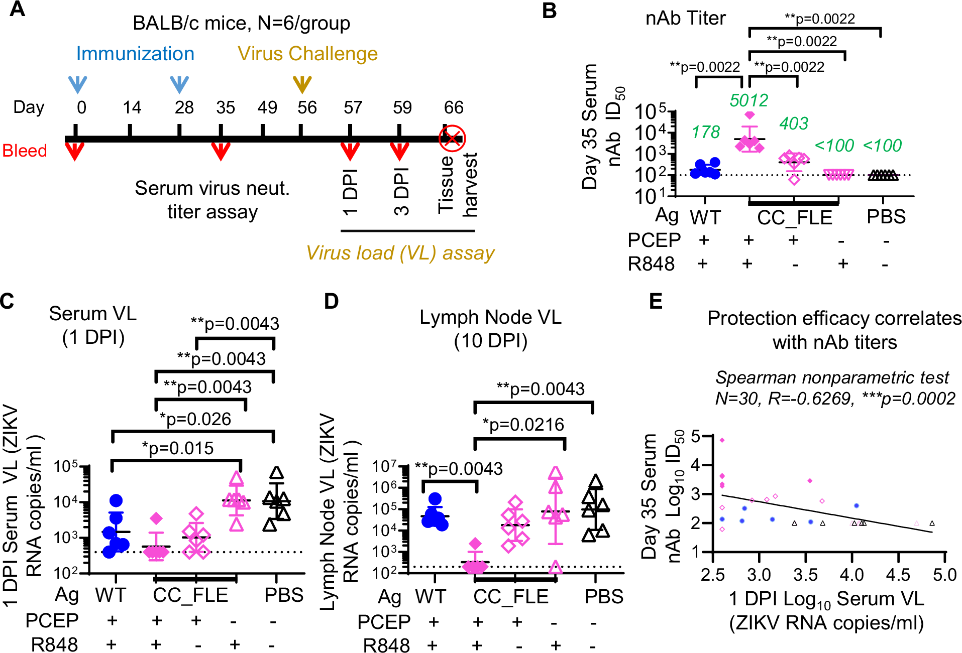 Fig. 6: In vivo efficacy study of ZIKV CC_FLE sE formulated in PCEP-R848 adjuvant in BALB/c mice.