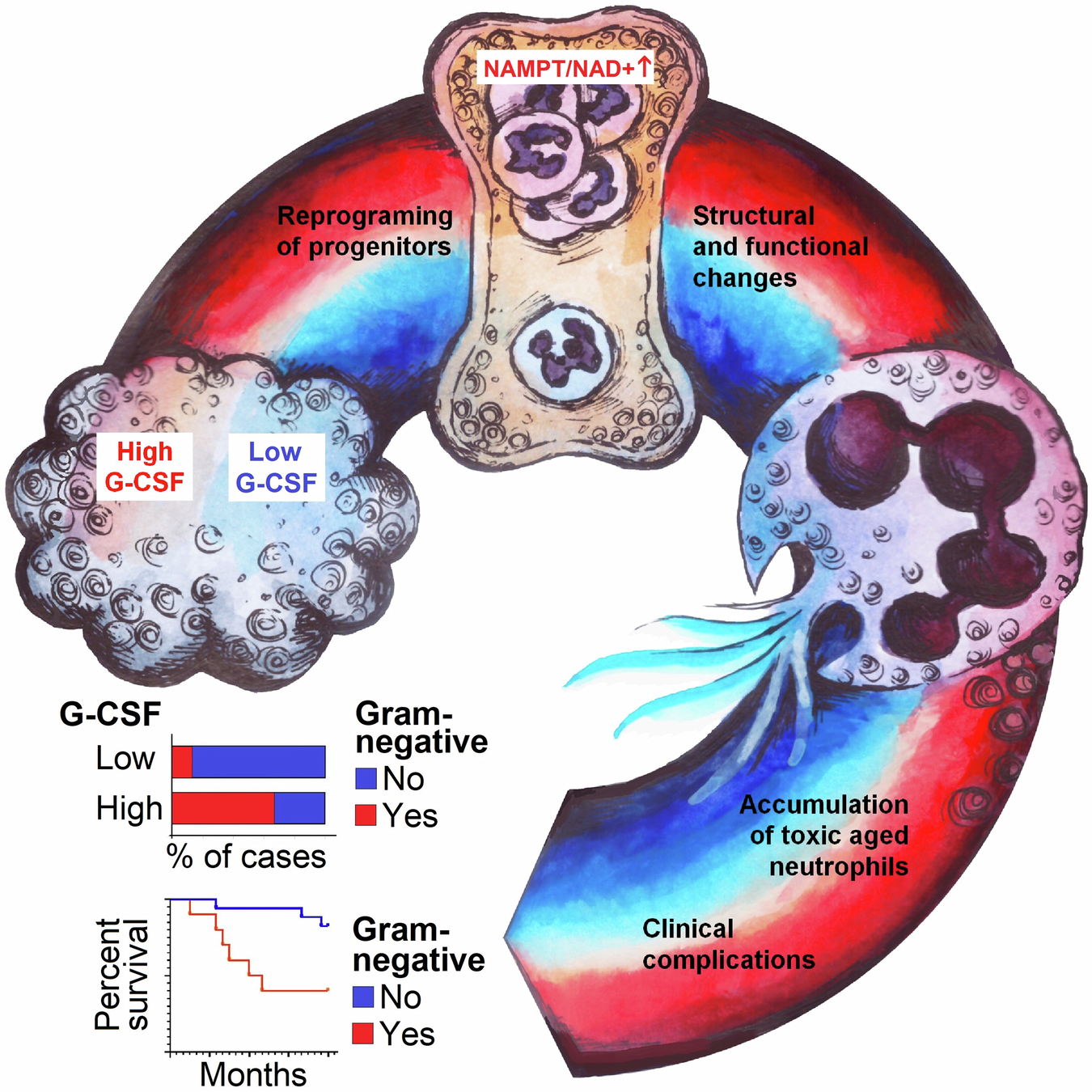Fig. 7: Graphical abstract.