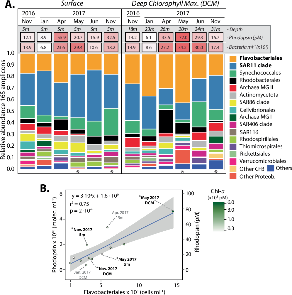 Fig. 4: Microbial picoplankton communities associated to rhodopsin dynamics in surface water at SPOT.