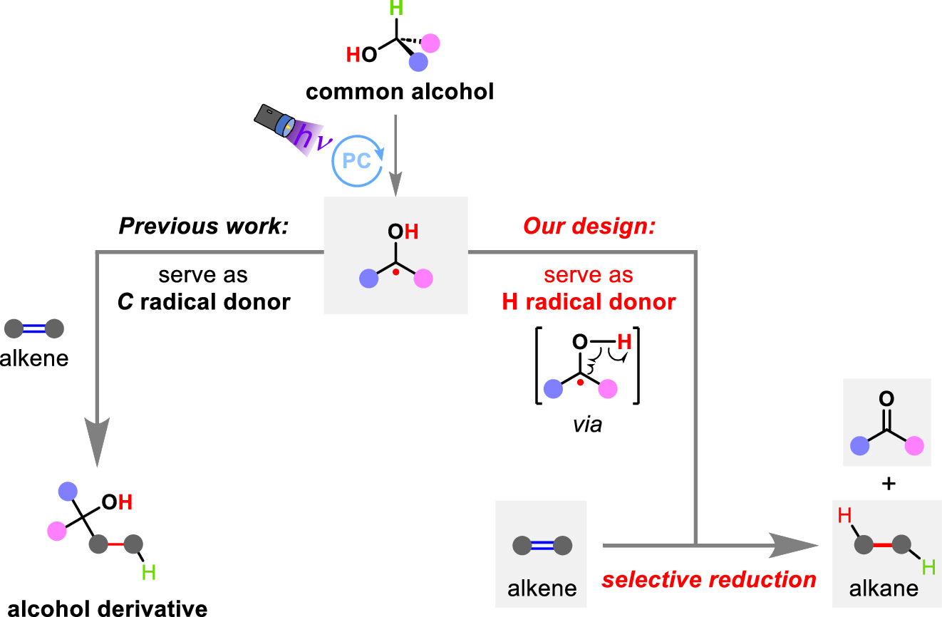 Fig. 2: The designed photocatalytic transfer hydrogenation of alkenes using alcohol as the hydrogen source.