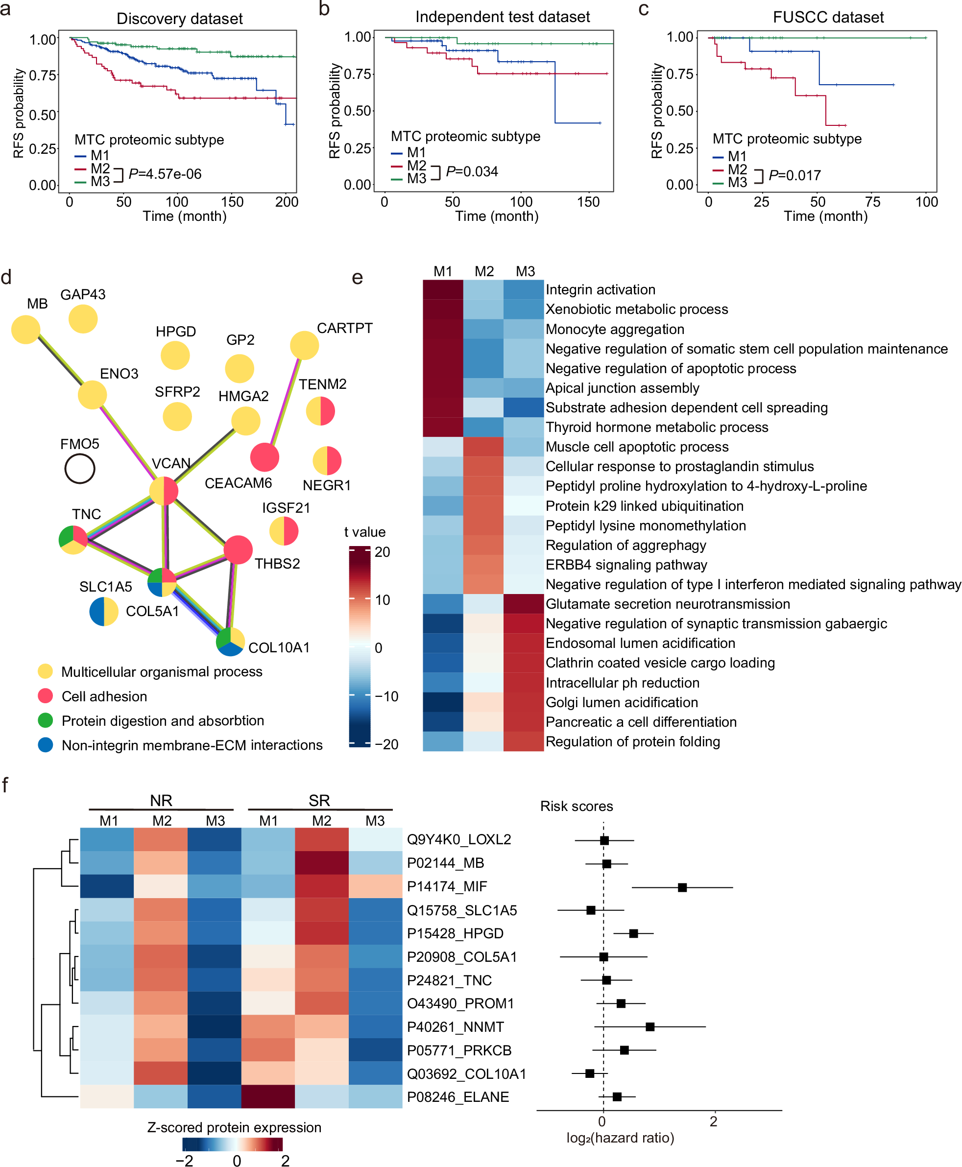 Fig. 5: Functional profiling and potential drug target identification.