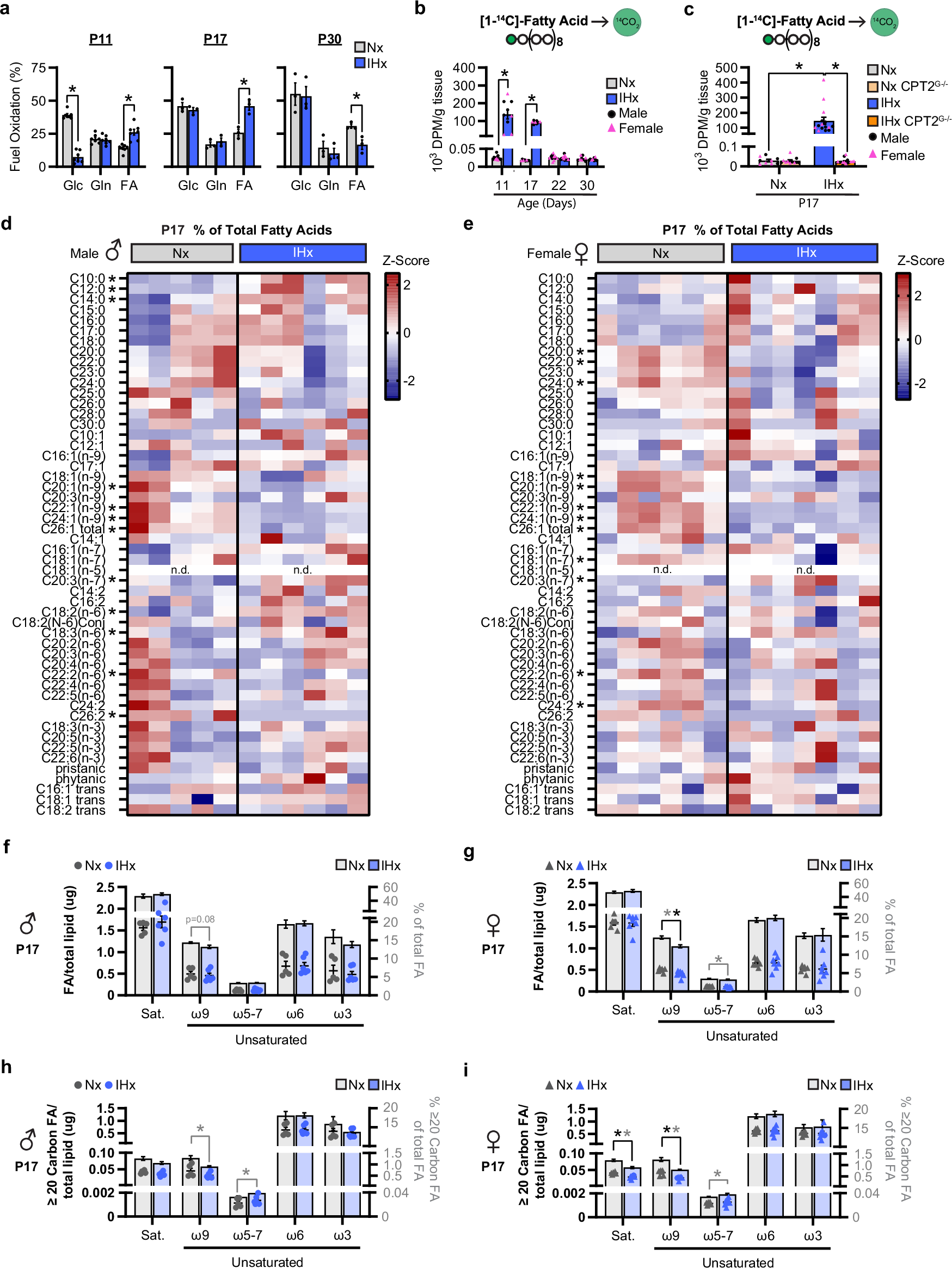 Fig. 5: IHx increases fatty acid oxidation and alters fatty acid composition at P17.
