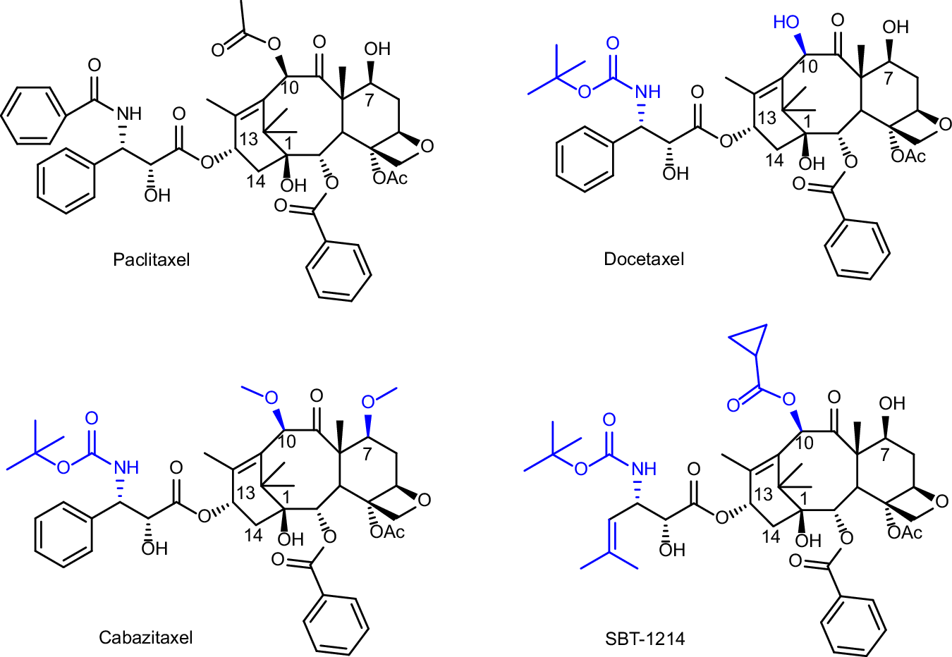 Fig. 1: Paclitaxel and its structural derivatives.