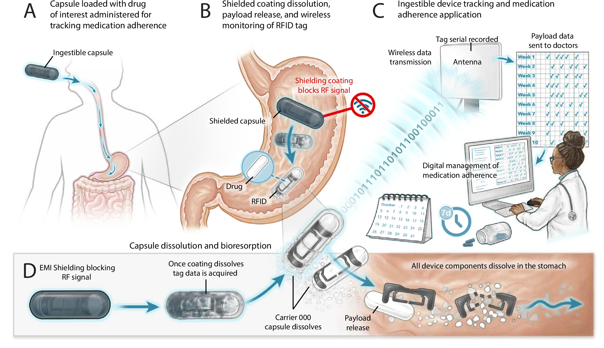 Fig. 1: Schematic illustration of capsule based, biodegradable medication adherence tracking system with envisioned scenario for clinical use.