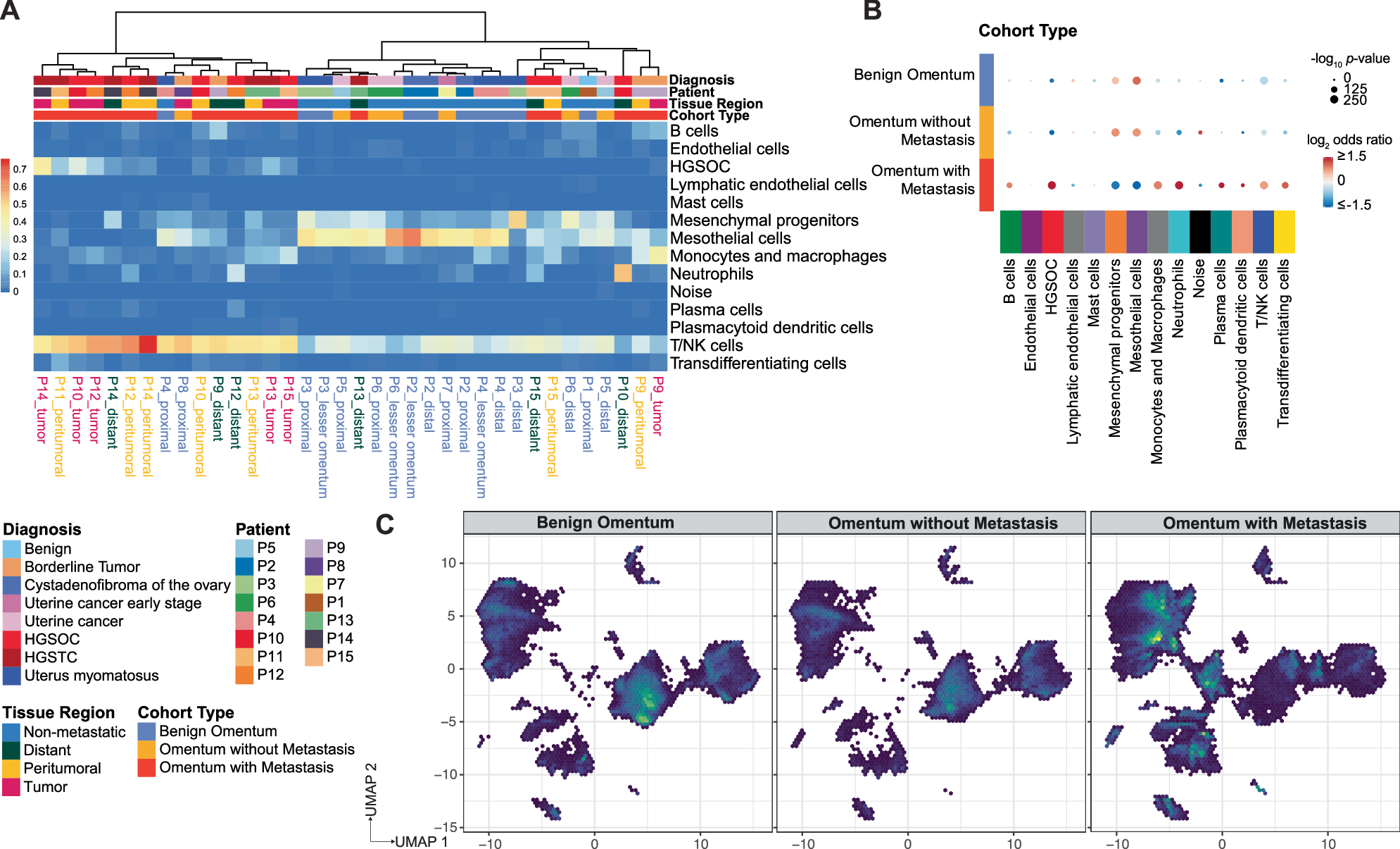 Fig. 2: The human benign omentum is homogenous in cell type composition.