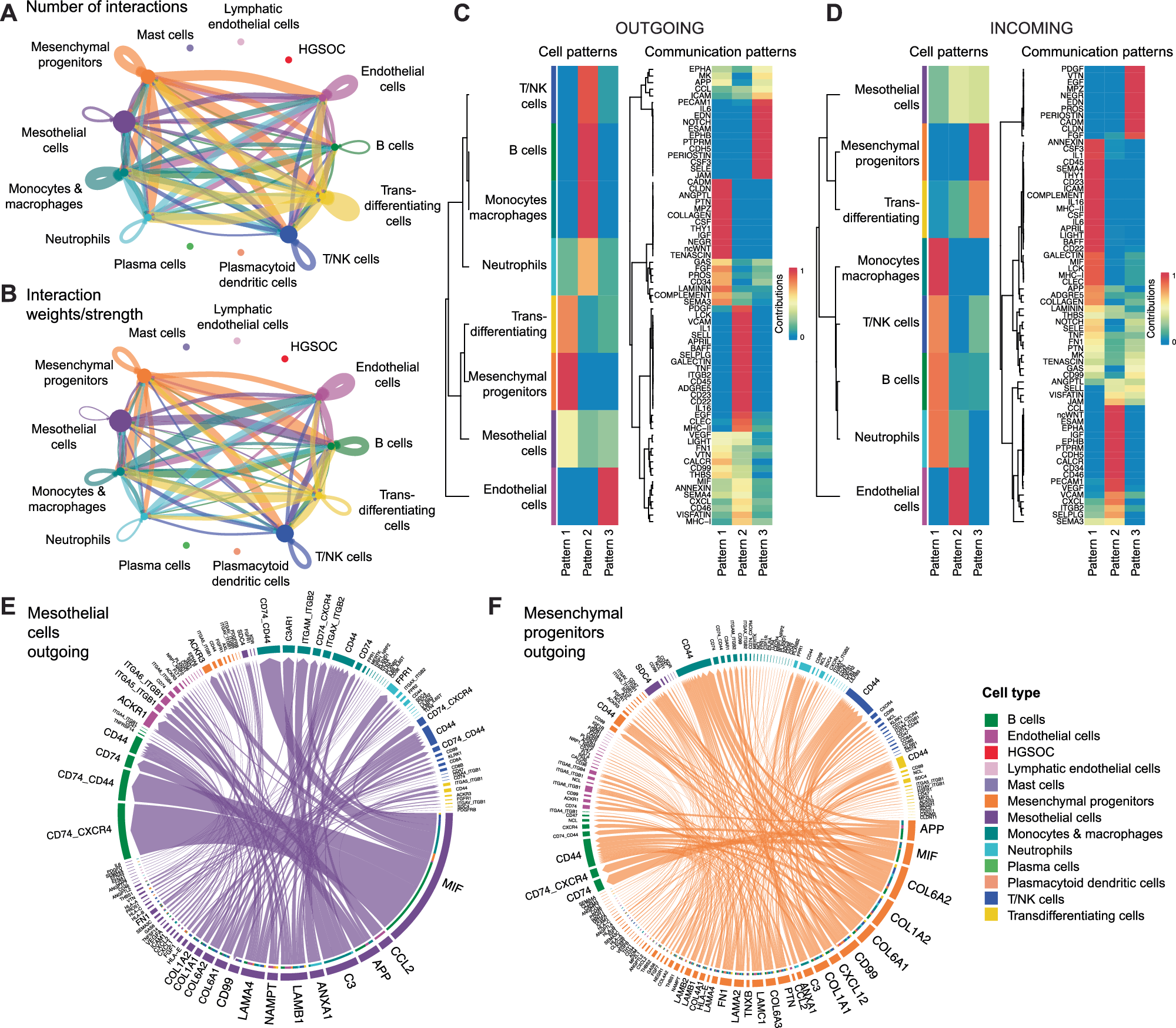 Fig. 5: Mesothelial and mesenchymal progenitor cells orchestrate tissue homeostasis in the benign omentum via a repertoire of signaling pathways.