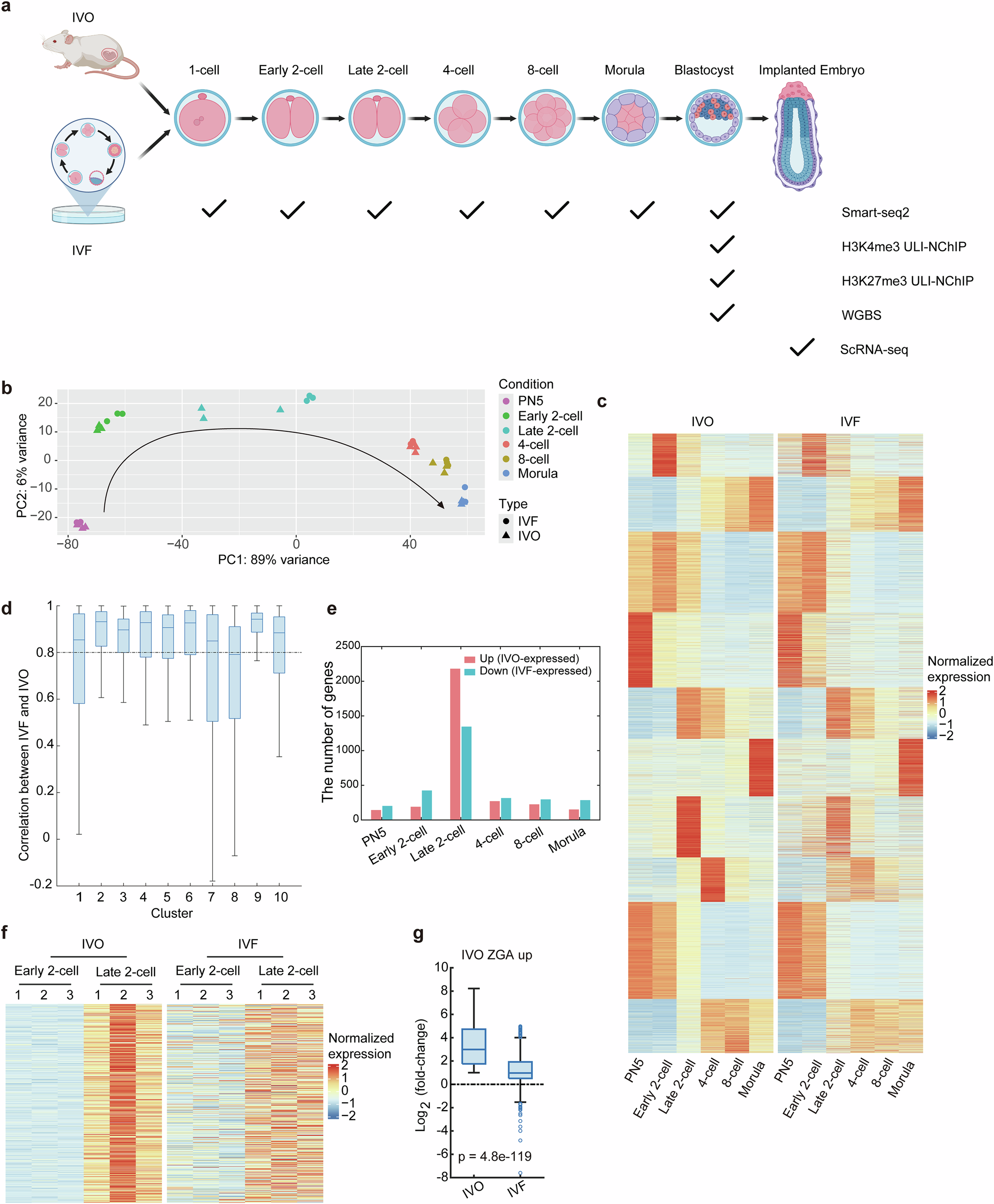 Fig. 1: Moderate transcriptional differences between IVO- and IVF-derived embryos except at late 2-cell stage.