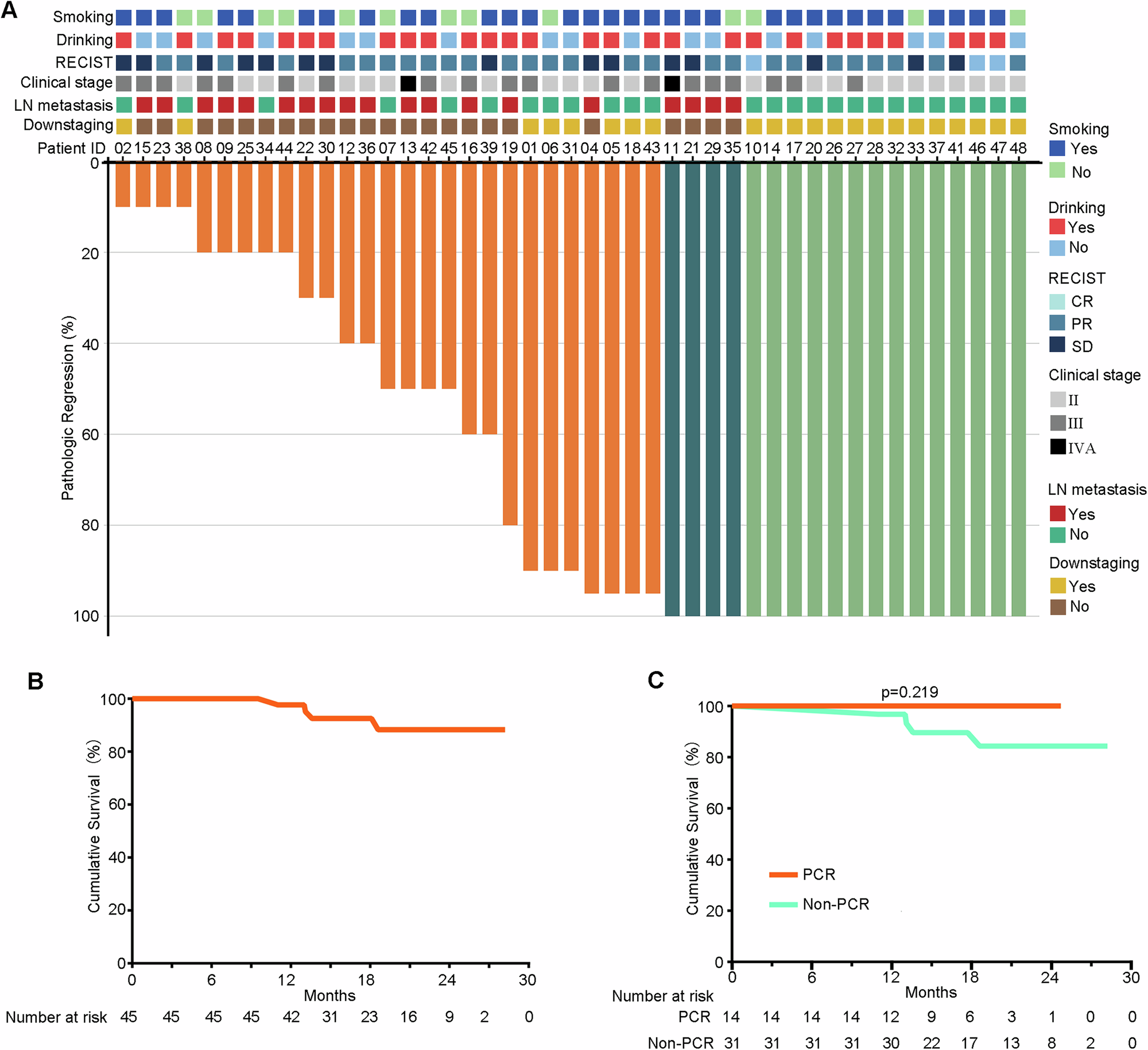 Fig. 2: Pathologic response and survival data for the population evaluated for neoadjuvant treatment efficacy (N = 45).
