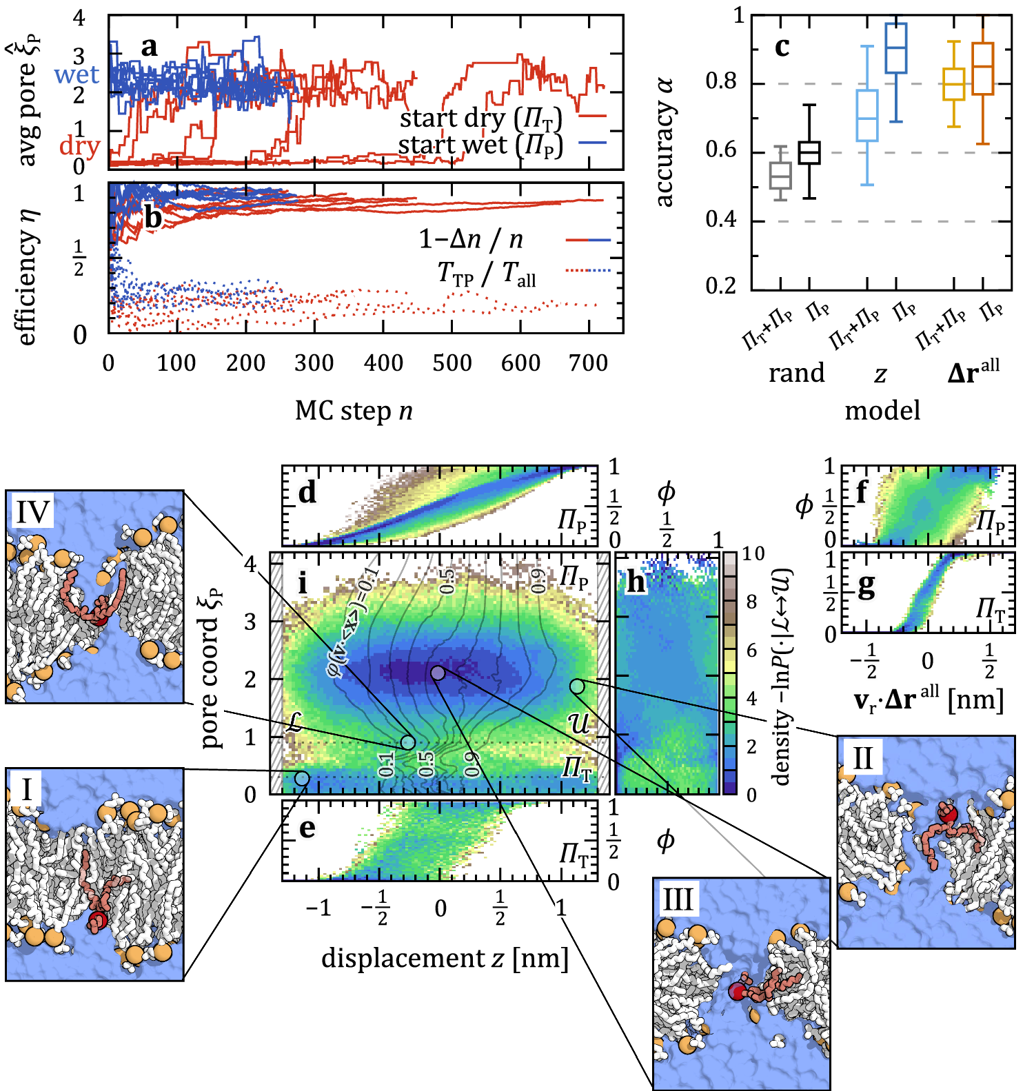 Fig. 3: Atomistic DMPC lipids flip bilayers through water-filled nanopores.