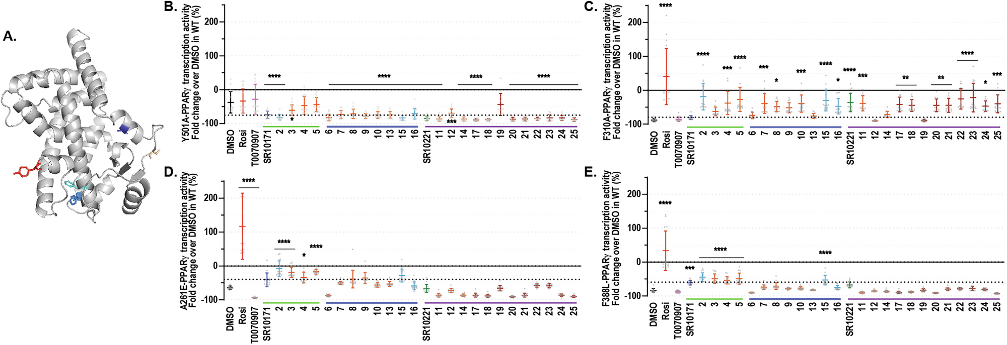 Fig. 5: Functional impacts of inverse agonists on pathogenic mutant PPARγ.