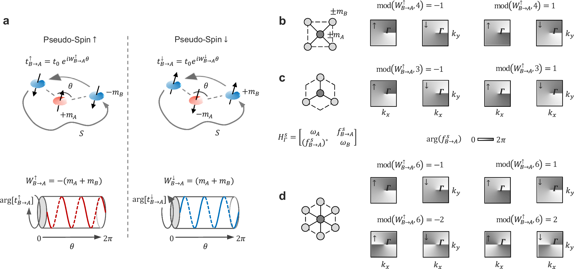 Fig. 1: Coupling winding number: definition, pseudo-spin-contrasting characteristics, and k-space vortices.