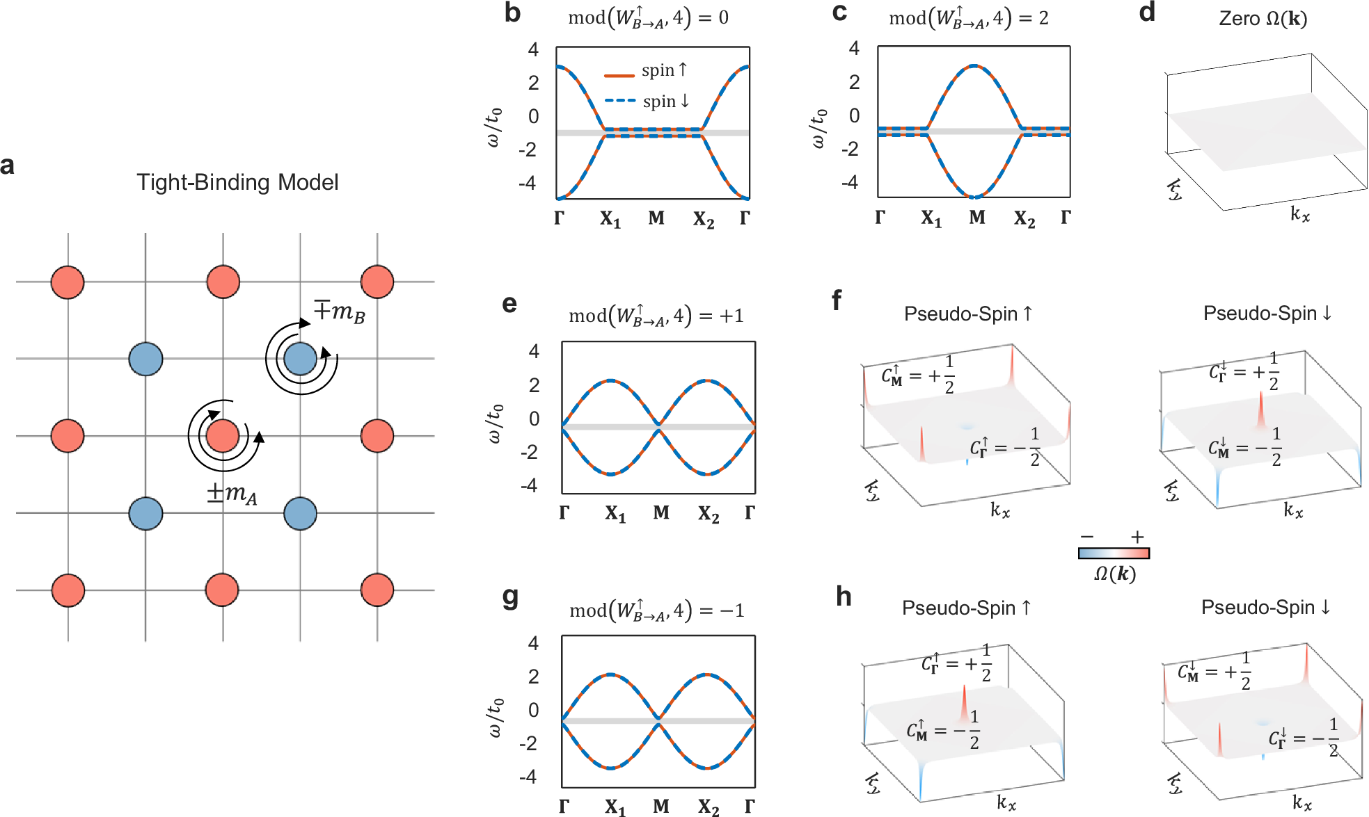 Fig. 2: Spin-valley Hall phases realized in 4-fold rotational symmetric square lattices.