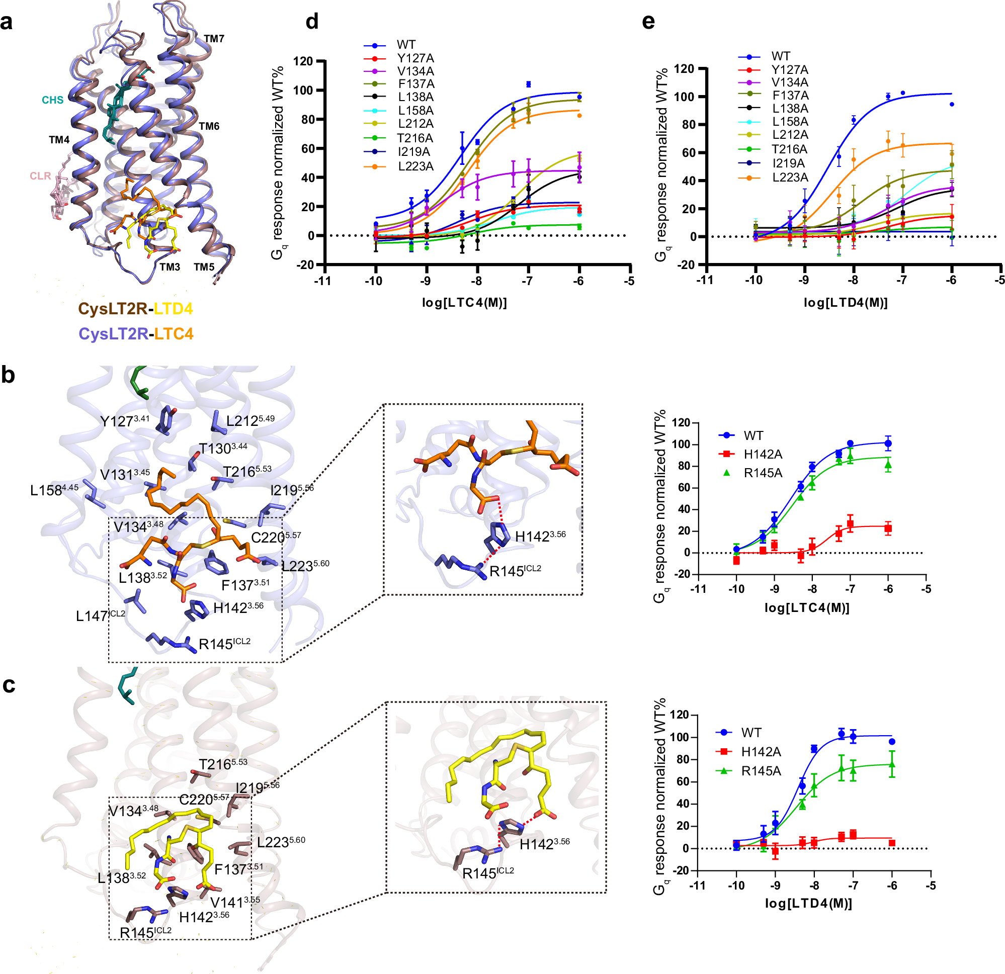 Fig. 3: Ligand binding pocket of CysLT2R.