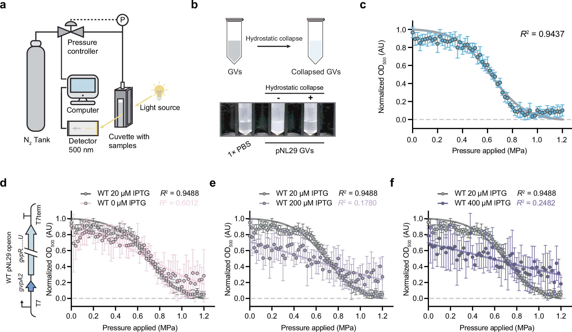 Fig. 7: Quantitative assessment of GV yield in E. coli by hydrostatic collapse assay.