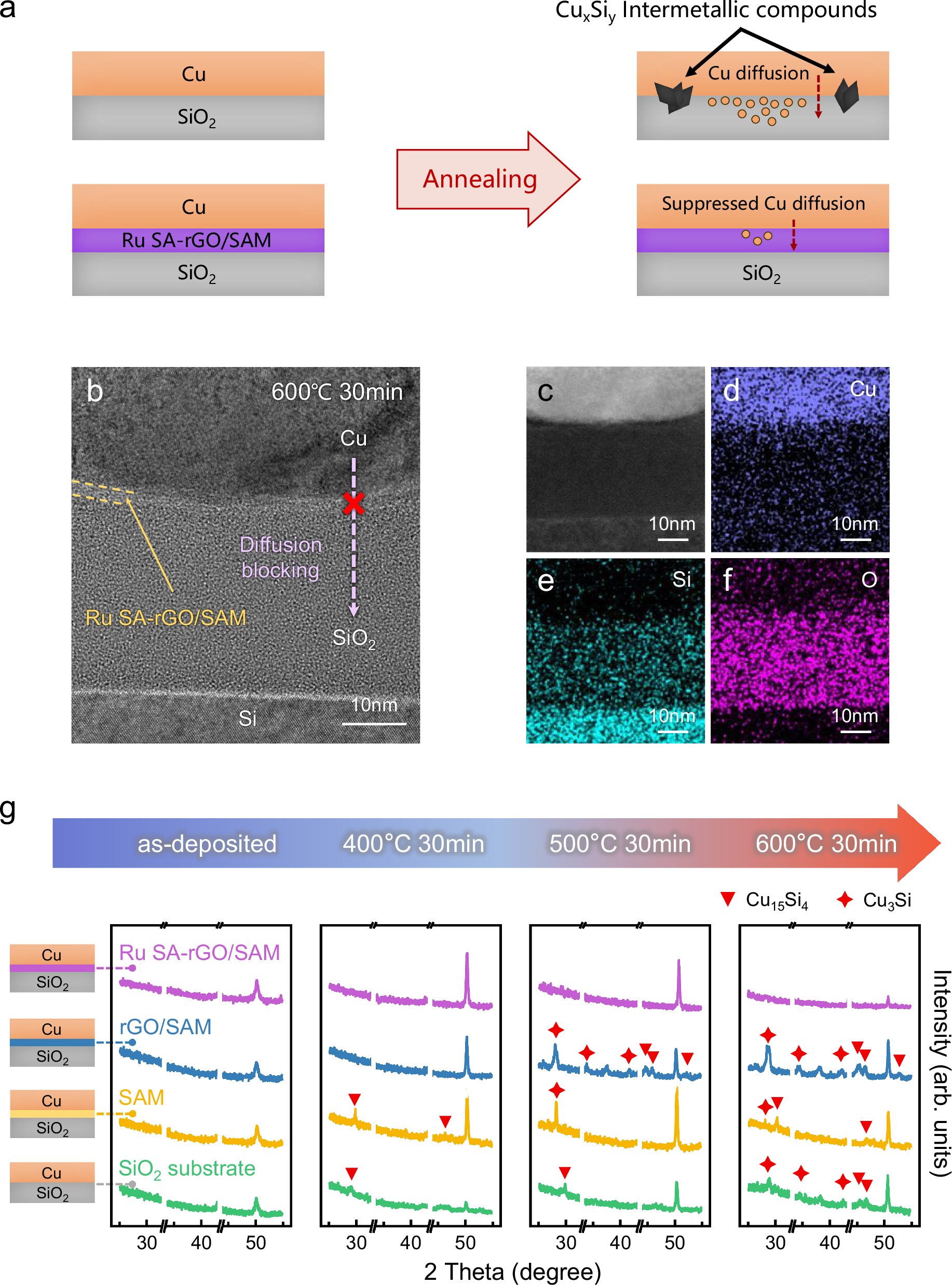 Fig. 5: Ability of single atom Ru-supported (Ru SA)-rGO/SAM to block Cu thermal diffusion.