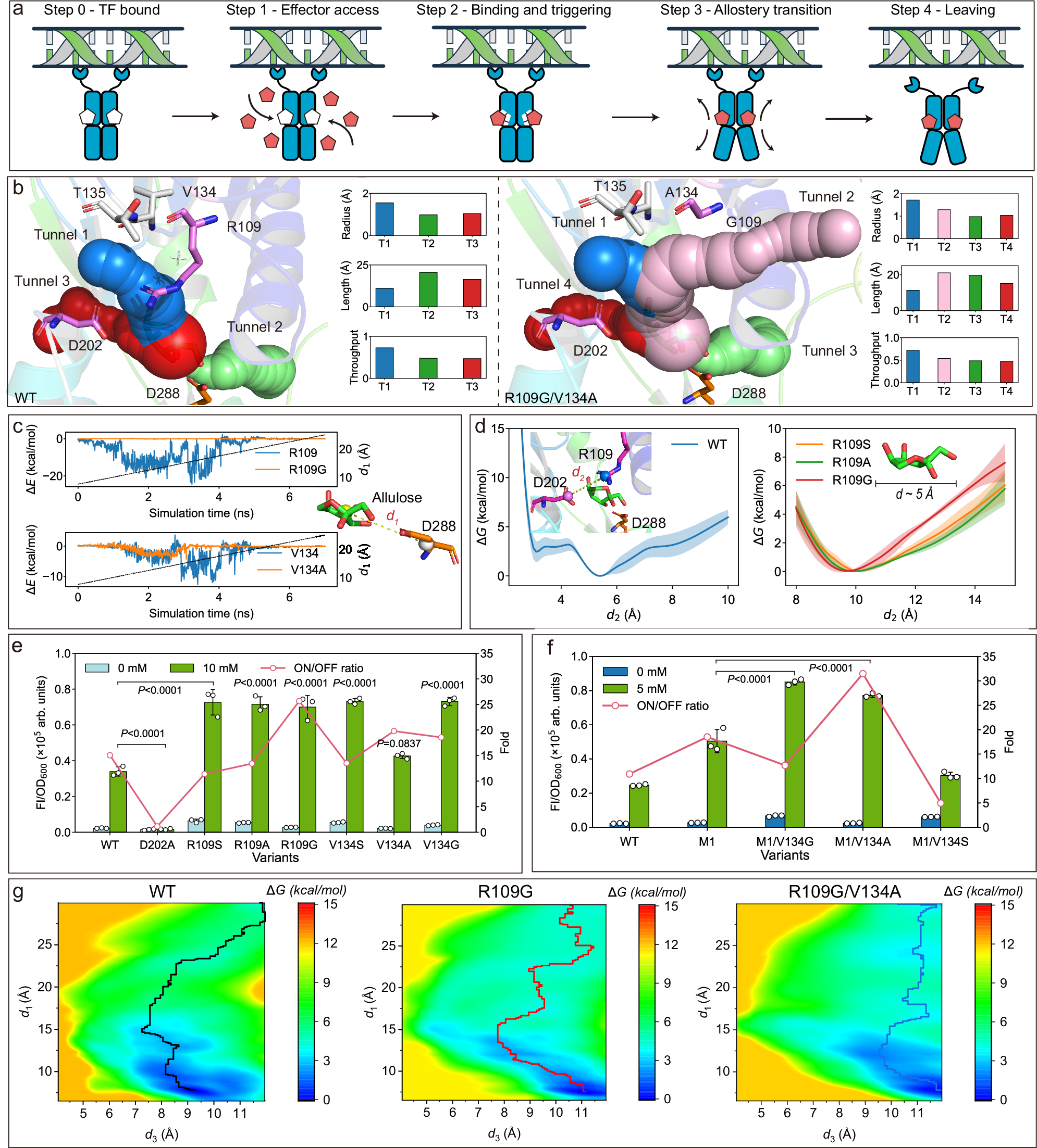 Fig. 4: Tunnel engineering of PsiR to increase the sensitivity and dynamic range.