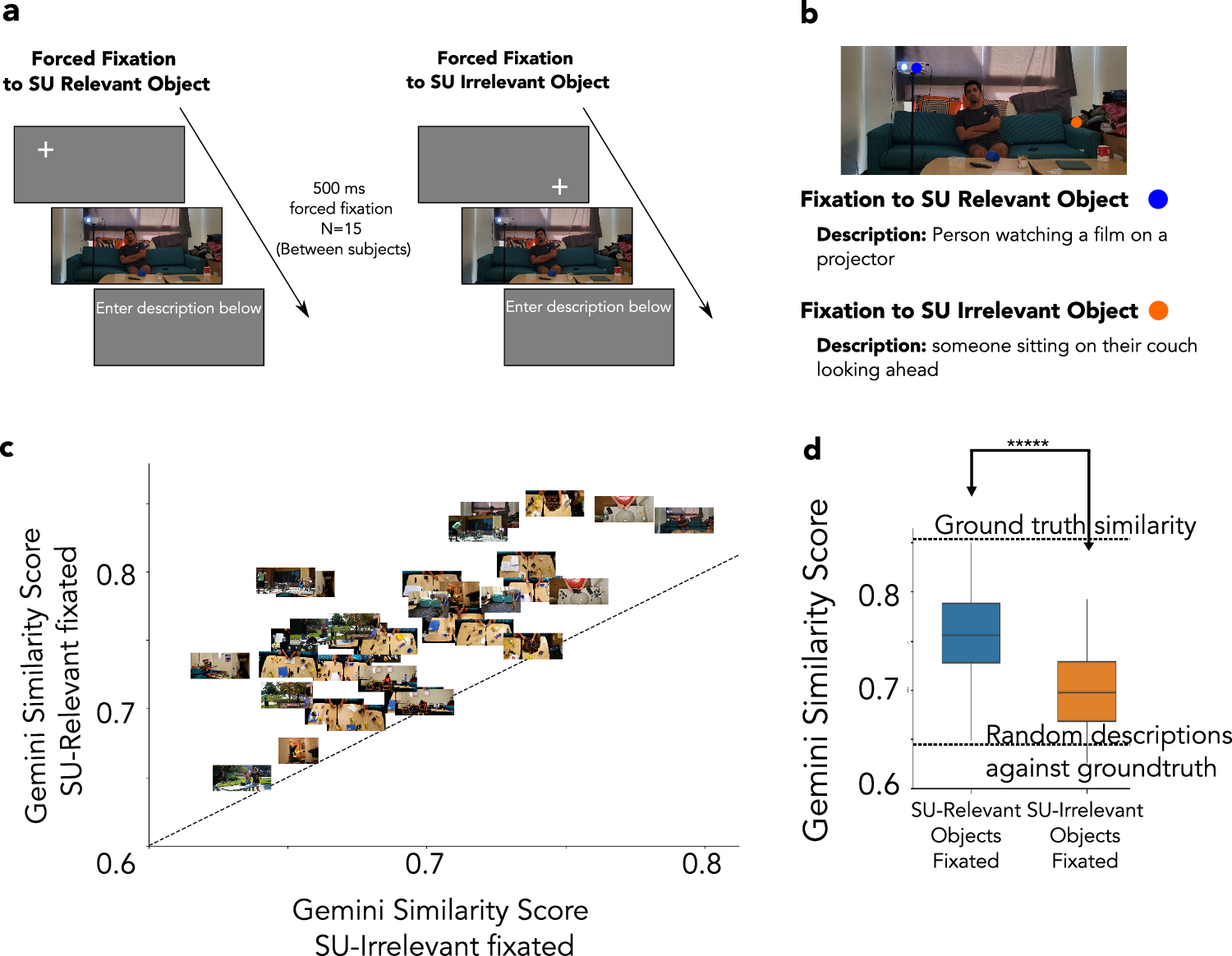 Fig. 7: Forced fixation at SU-relevant and SU-irrelevant locations.