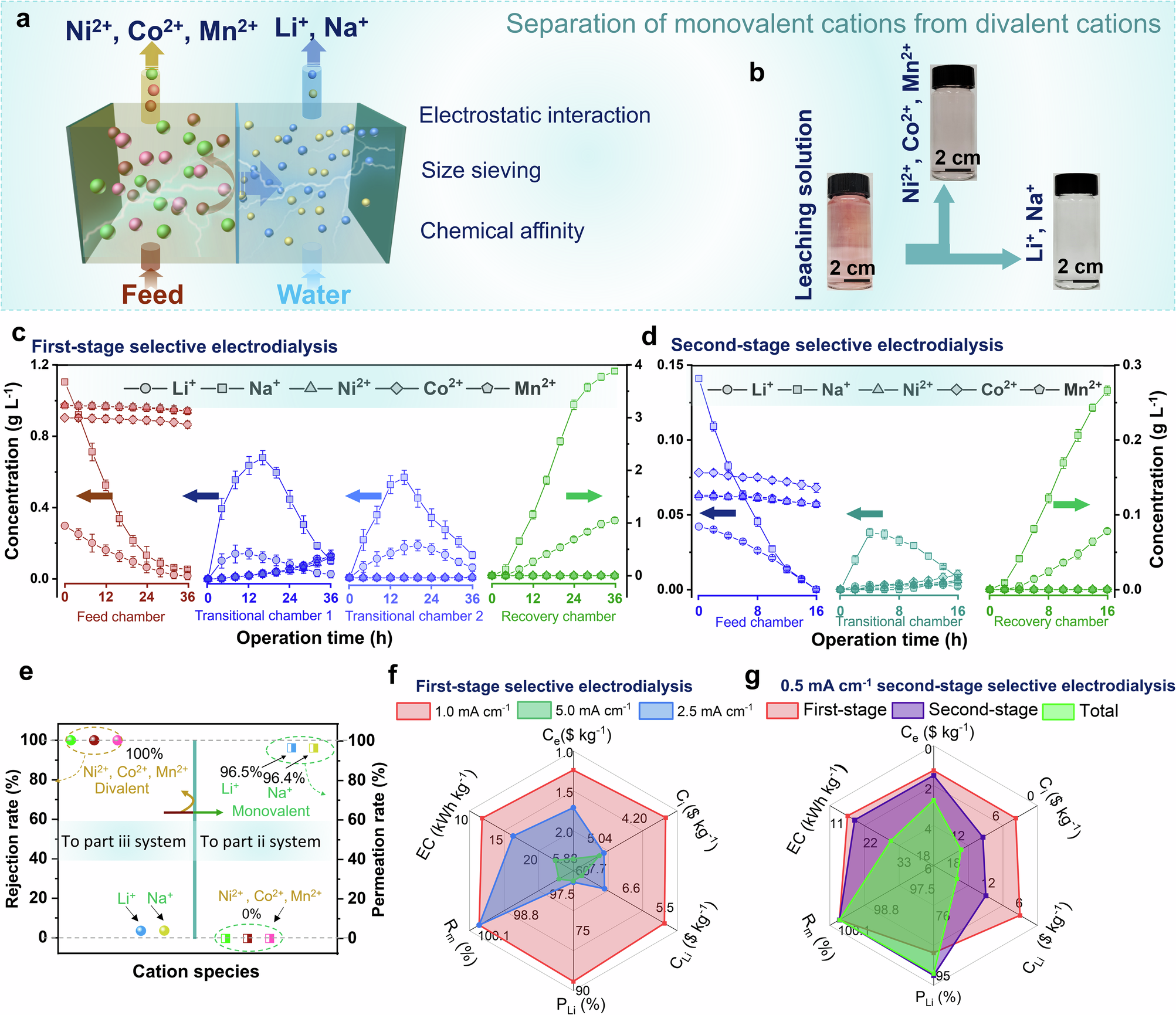 Fig. 3: Selective separation of monovalent cations from concentrated LIB leaching solutions.
