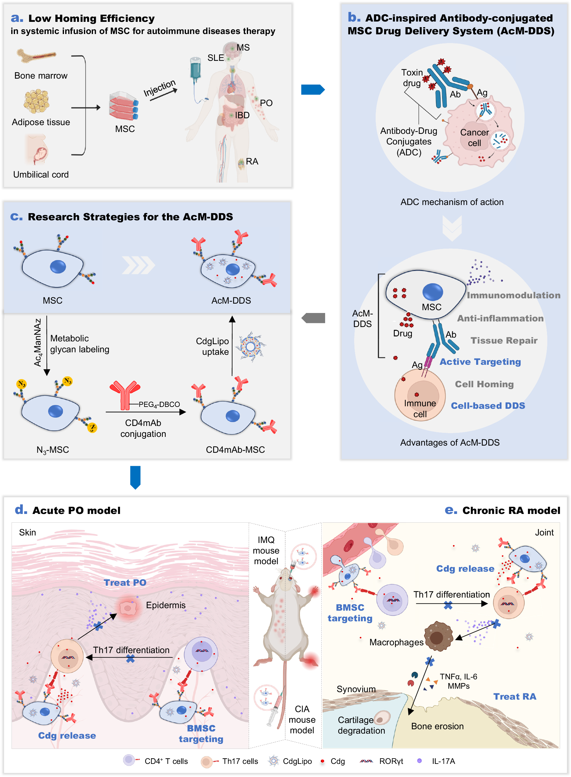 Antibody-conjugated mesenchymal stromal cell drug delivery system for the  treatment of autoimmune diseases in mice | Nature Communications