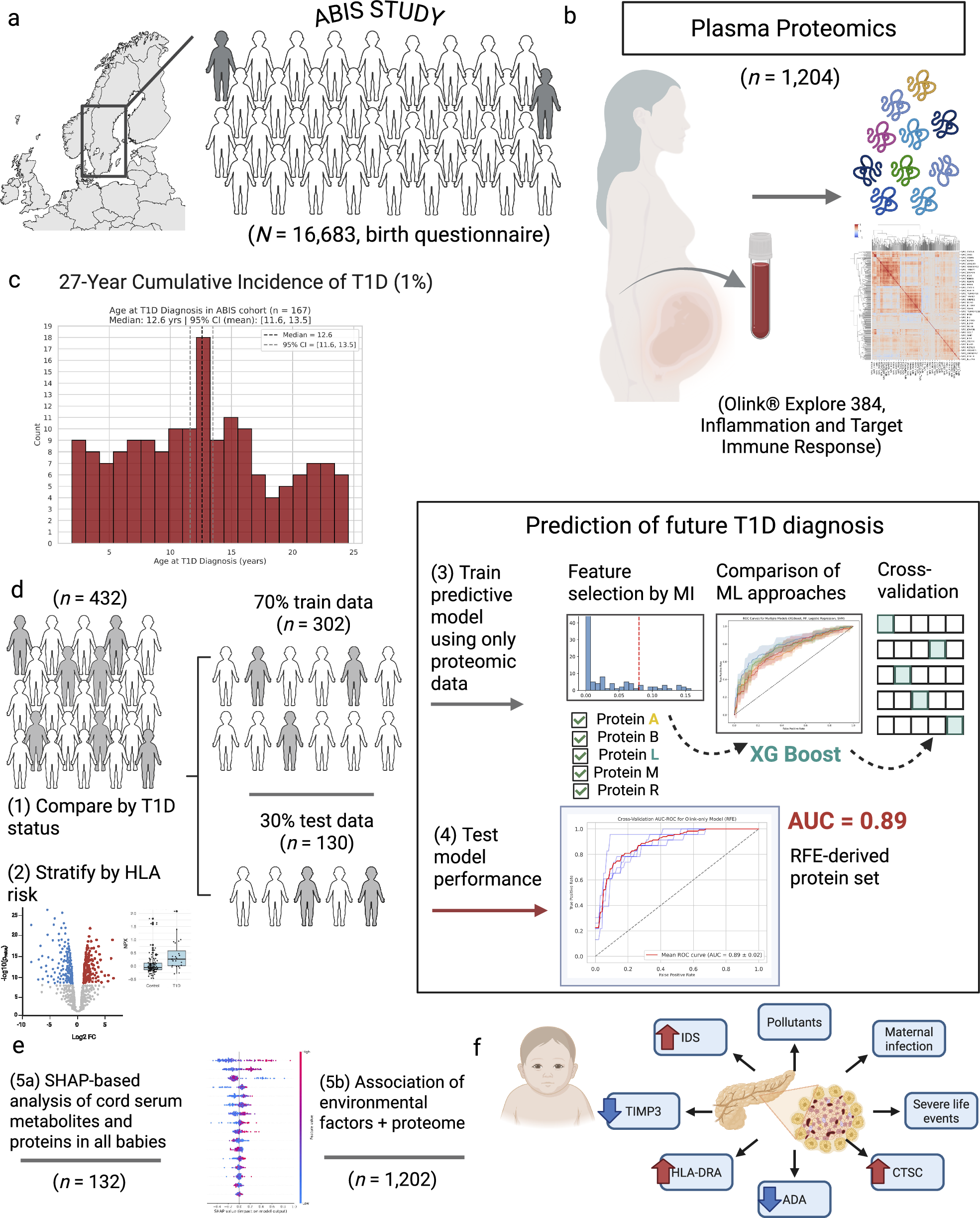 1型糖尿病リスクは妊娠中に形成される可能性を示唆 (Foundations for Type 1 Diabetes May Already Be Laid During Pregnancy)