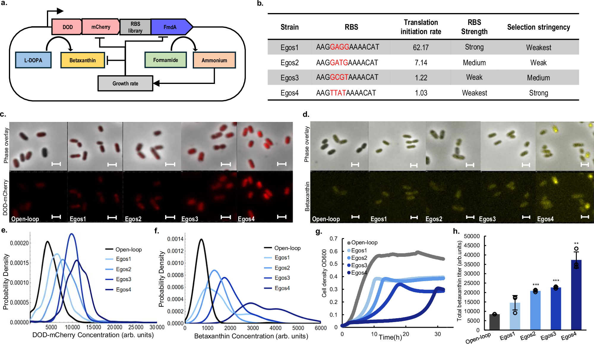 Fig. 6: Experimental validation of the Egos circuit.