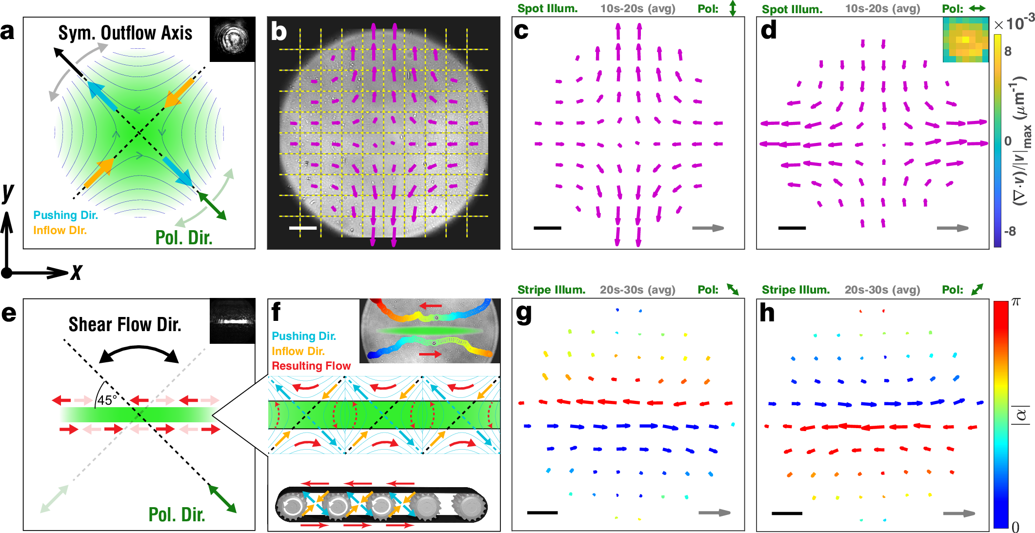 Fig. 4: Polarization-controlled rapid flows.