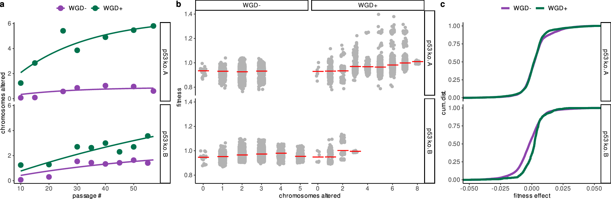 Fig. 5: Whole-genome doubling accelerates and reshapes aneuploidy evolution.