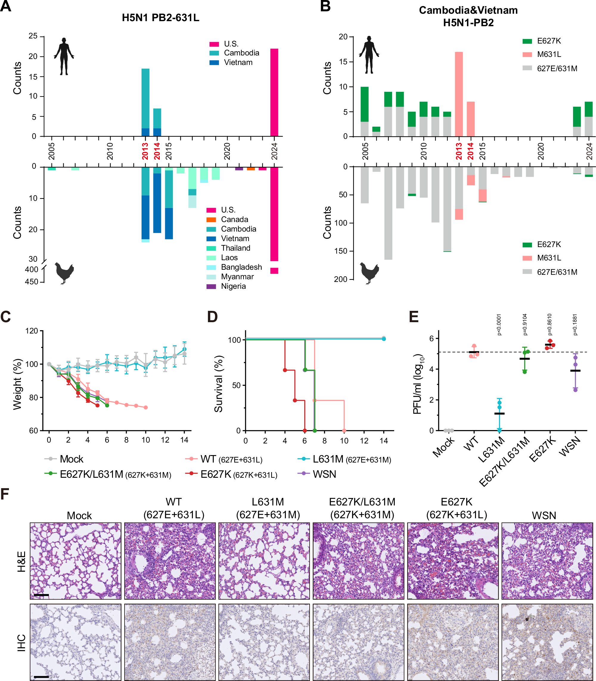 Fig. 2: PB2 M631L mutation previously co-occurred in both avian and human H5N1 virus isolates in Cambodia and Vietnam from 2013 to 2014 and confers high virulence in mice.