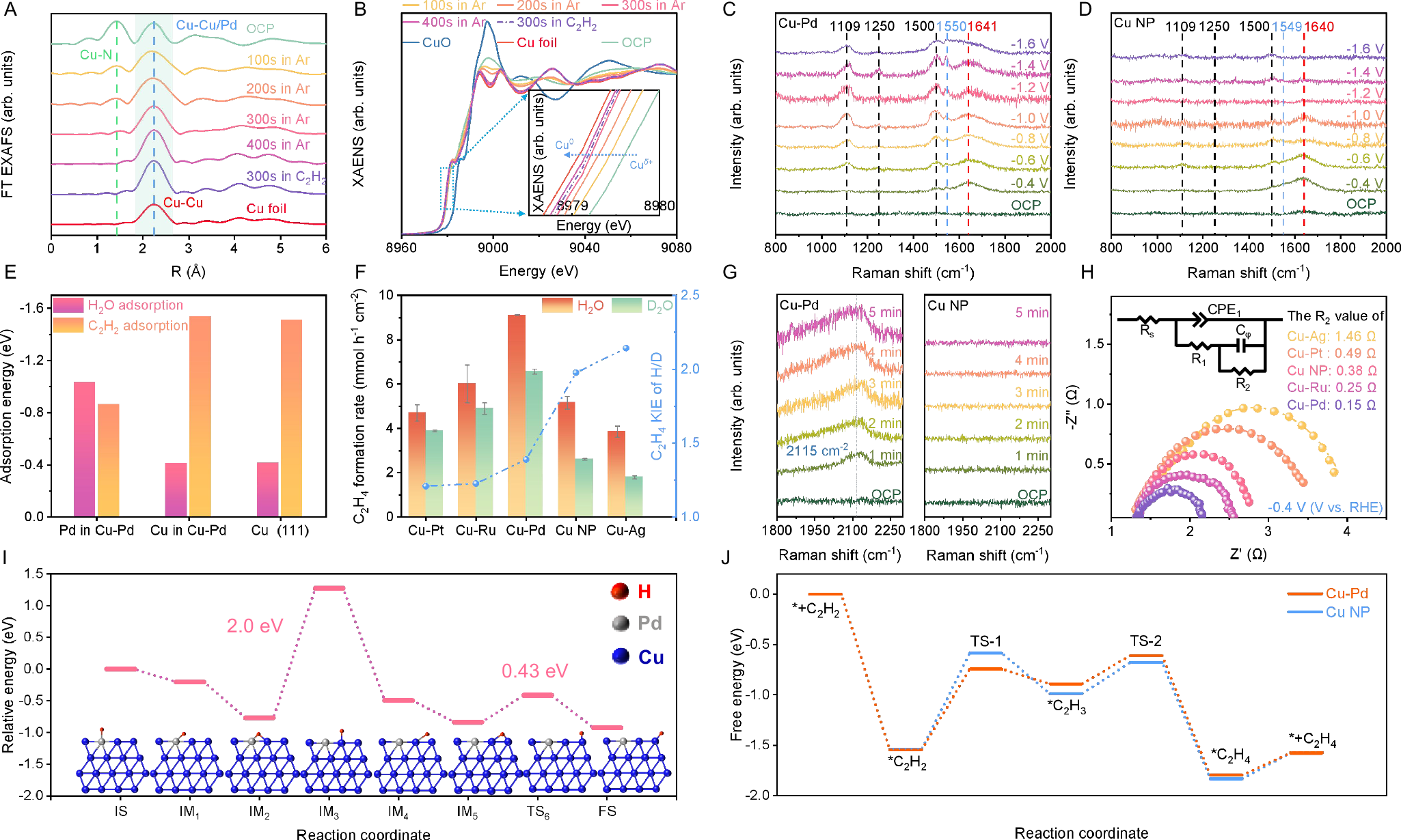 Fig. 3: Mechanistic insight.
