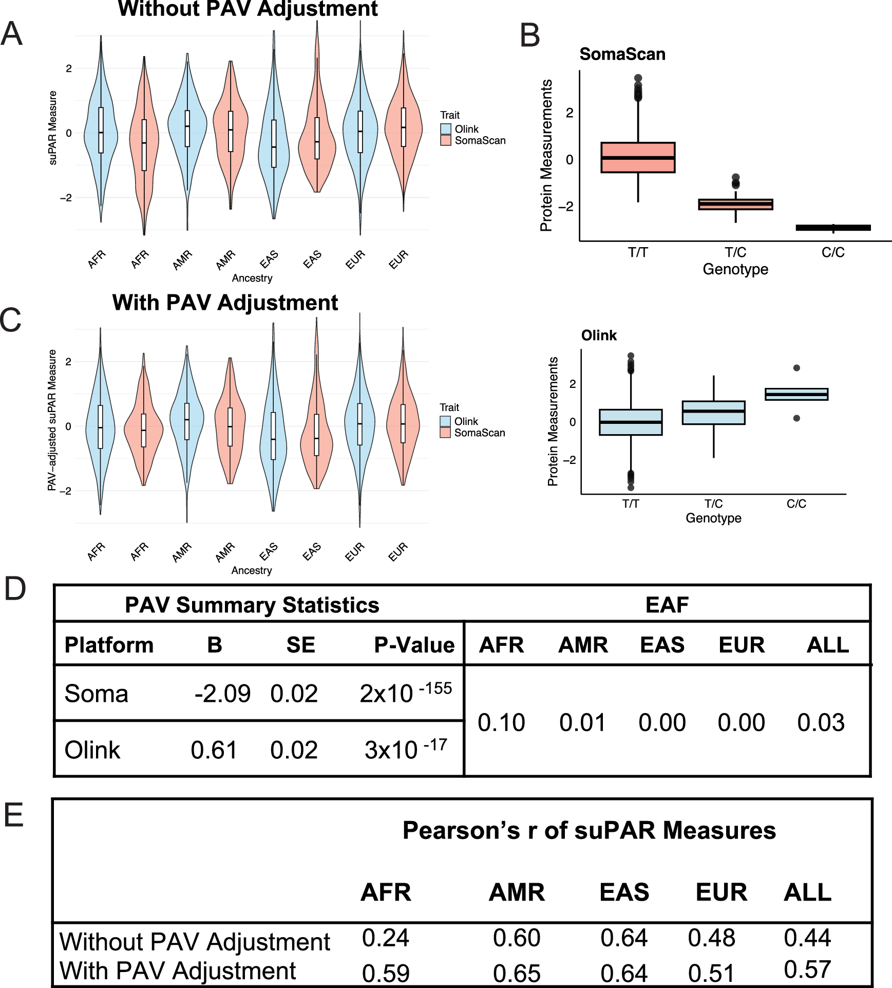 Fig. 5: Adjustment for suPAR-associated, ancestry-differentiated PAV improves correlation of suPAR measures across all participants, with improvement driven by individuals of African ancestry.
