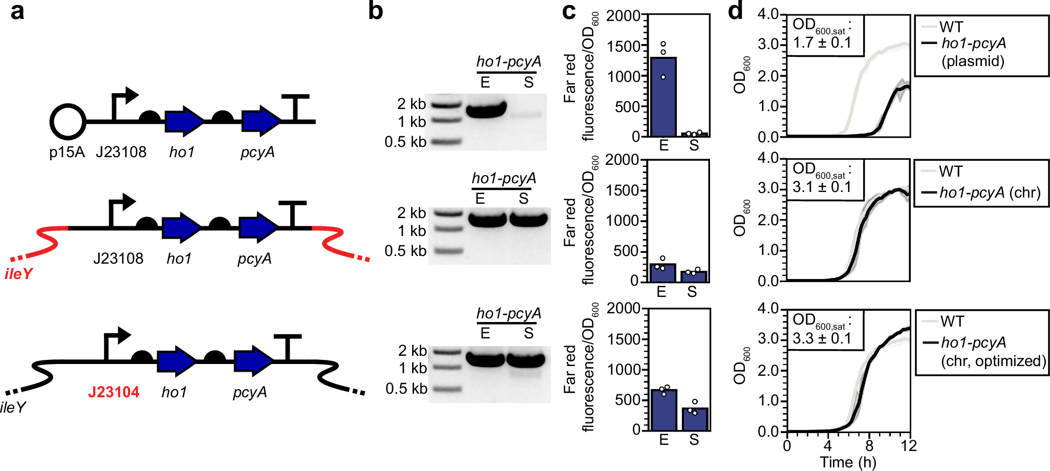 Fig. 2: Stabilizing PCB production in stationary phase.